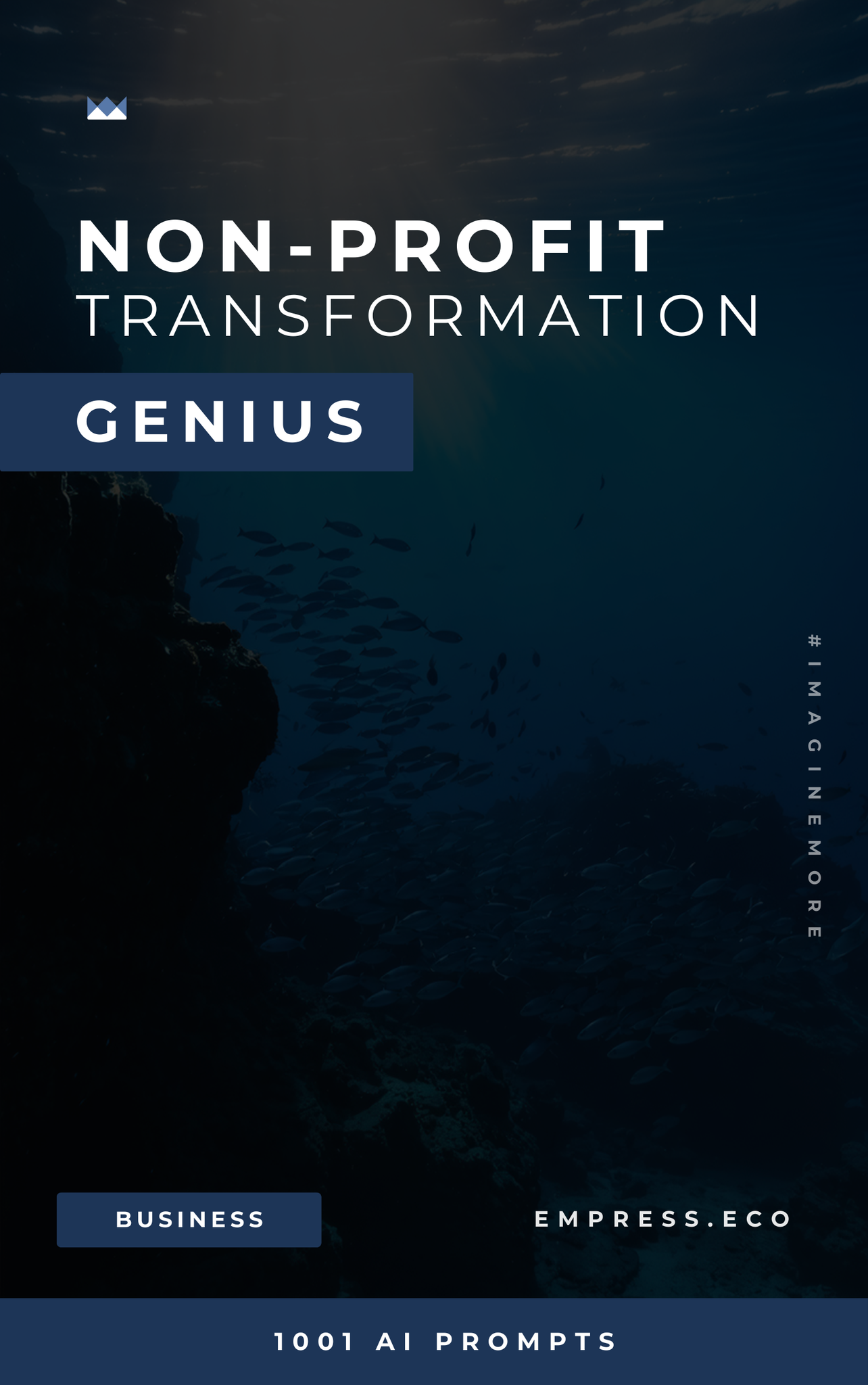 Non-Profit Transformation Genius