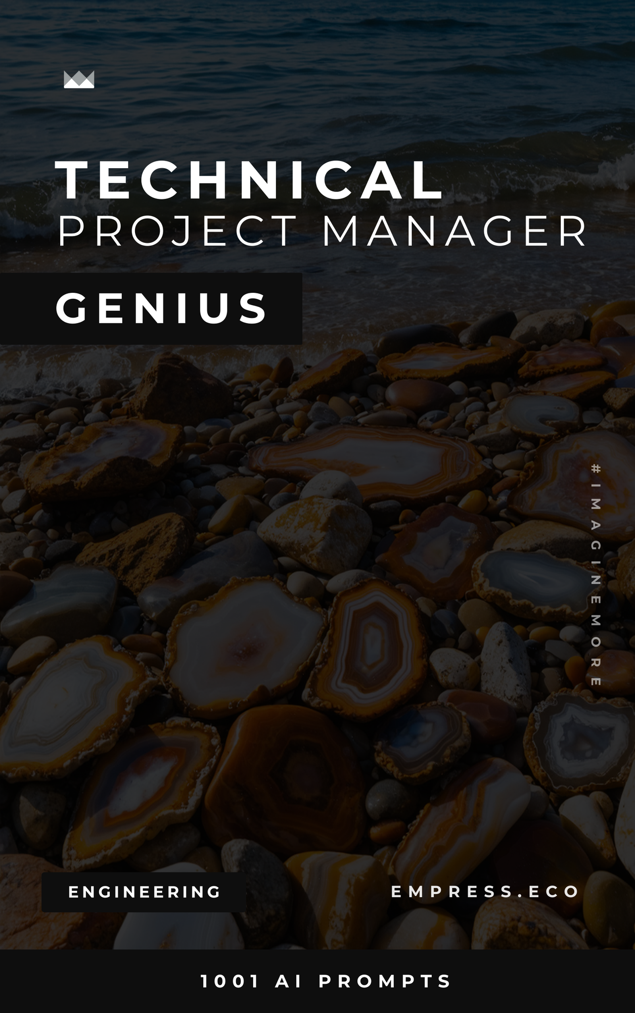 Technical Project Manager Genius