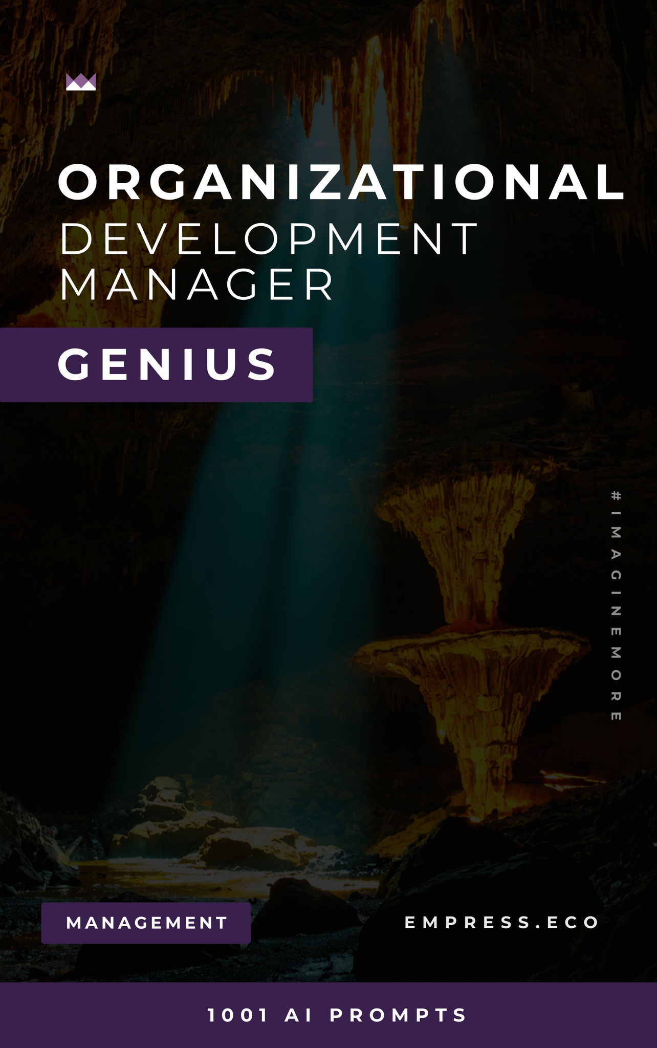 Organizational Development Manager Genius