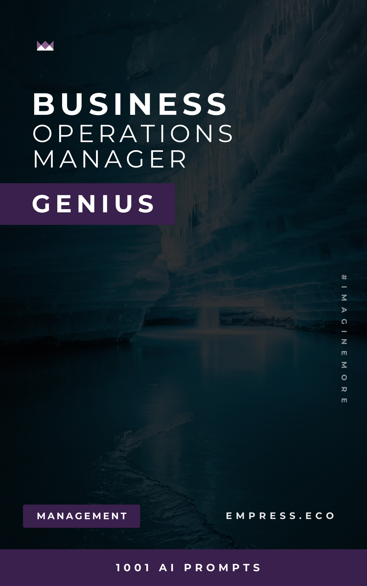 Business Operations Manager Genius
