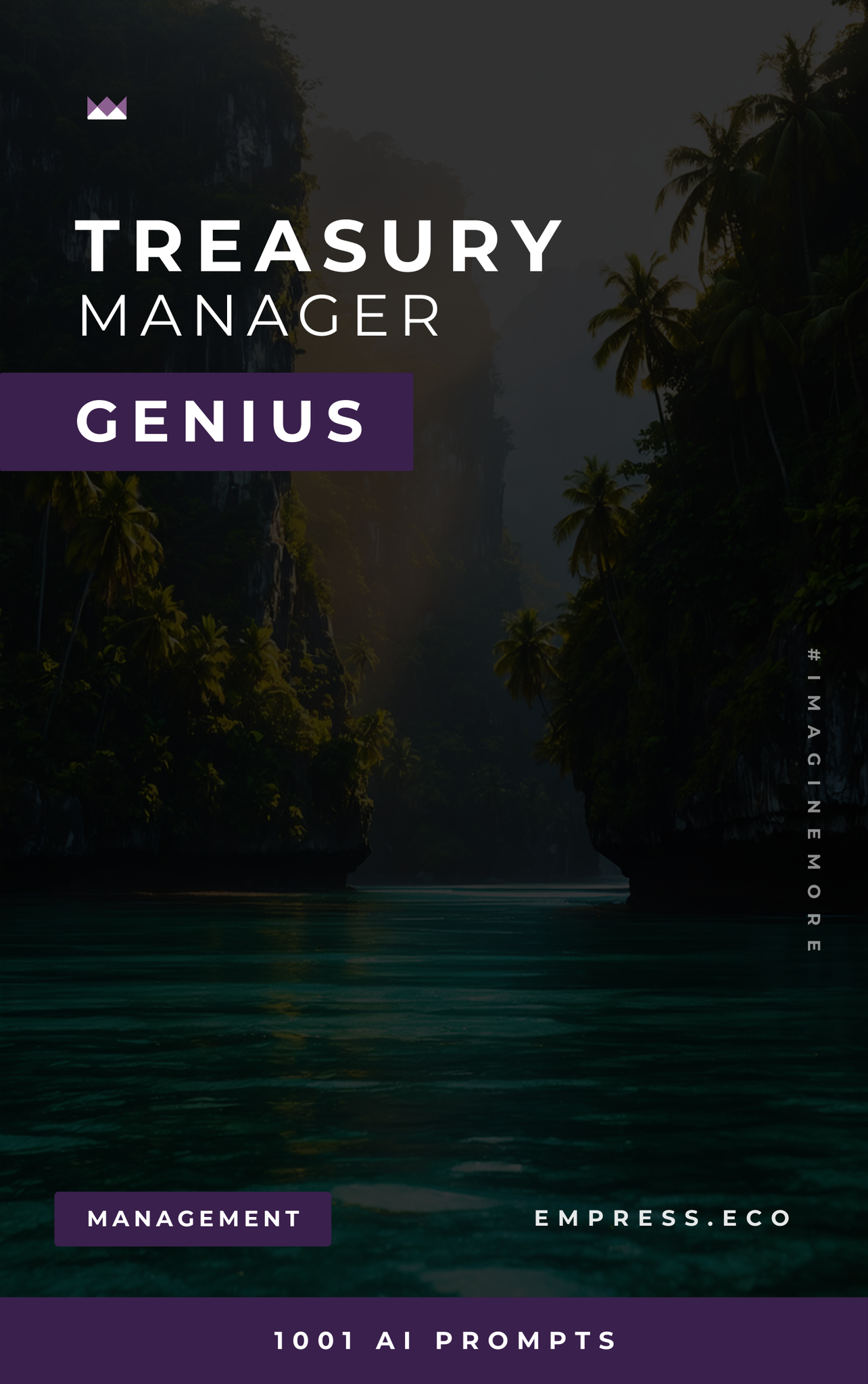 Treasury Manager Genius