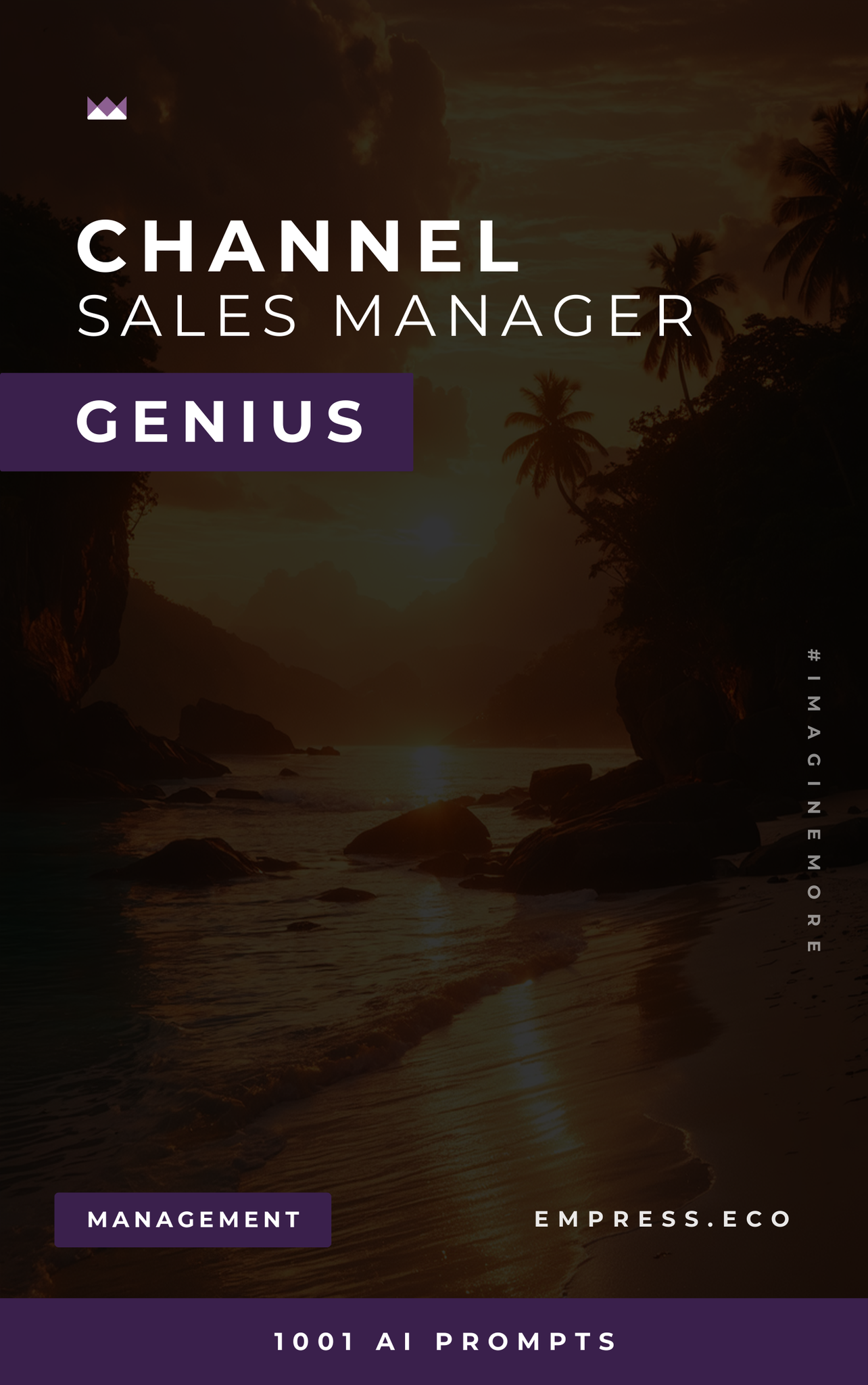 Channel Sales Manager Genius