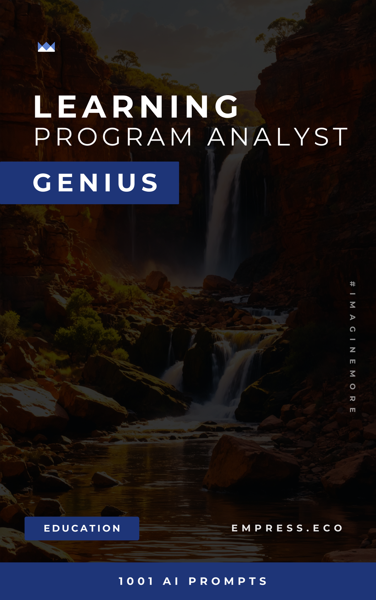 Learning Program Analyst Genius
