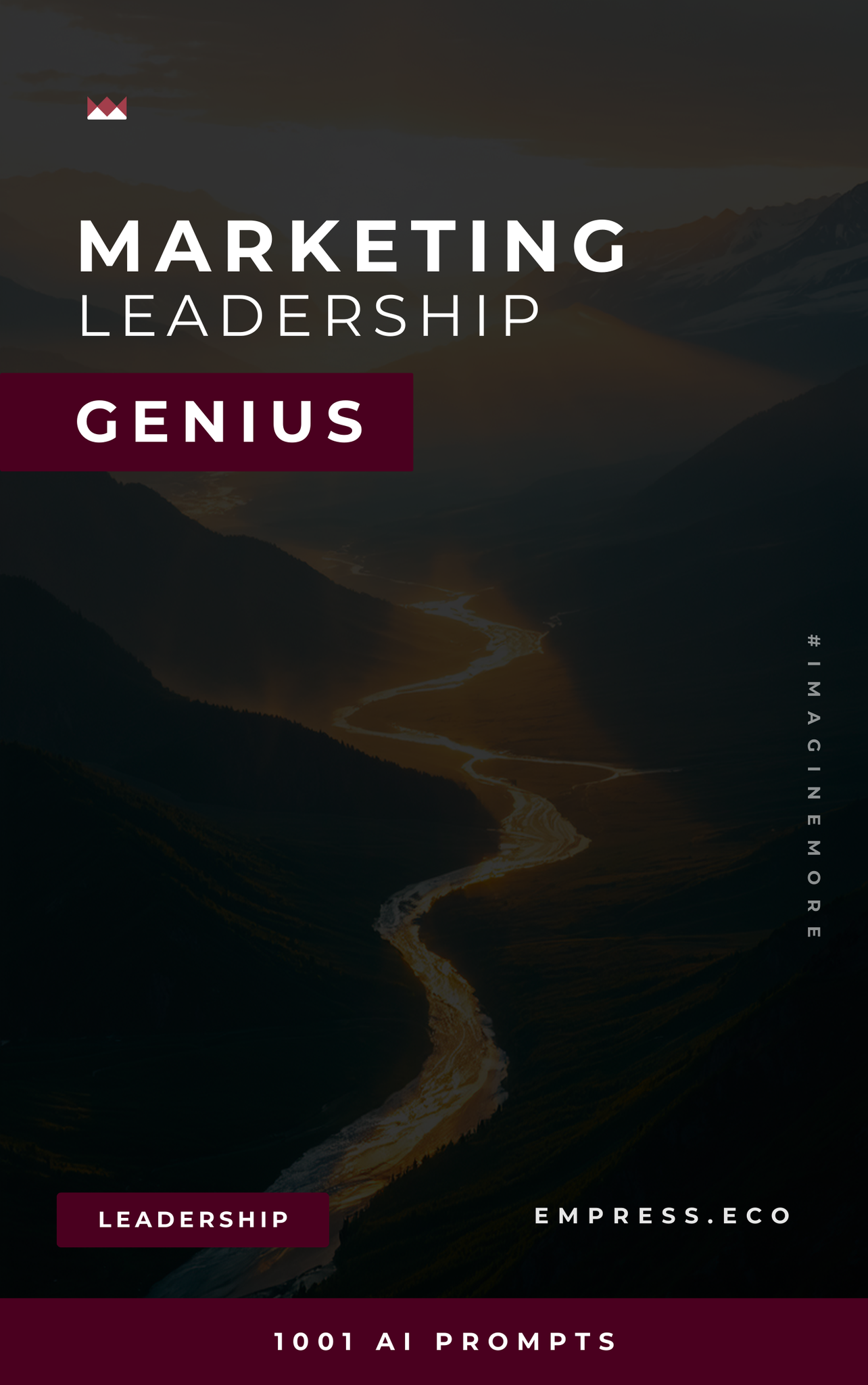 Marketing Leadership Genius