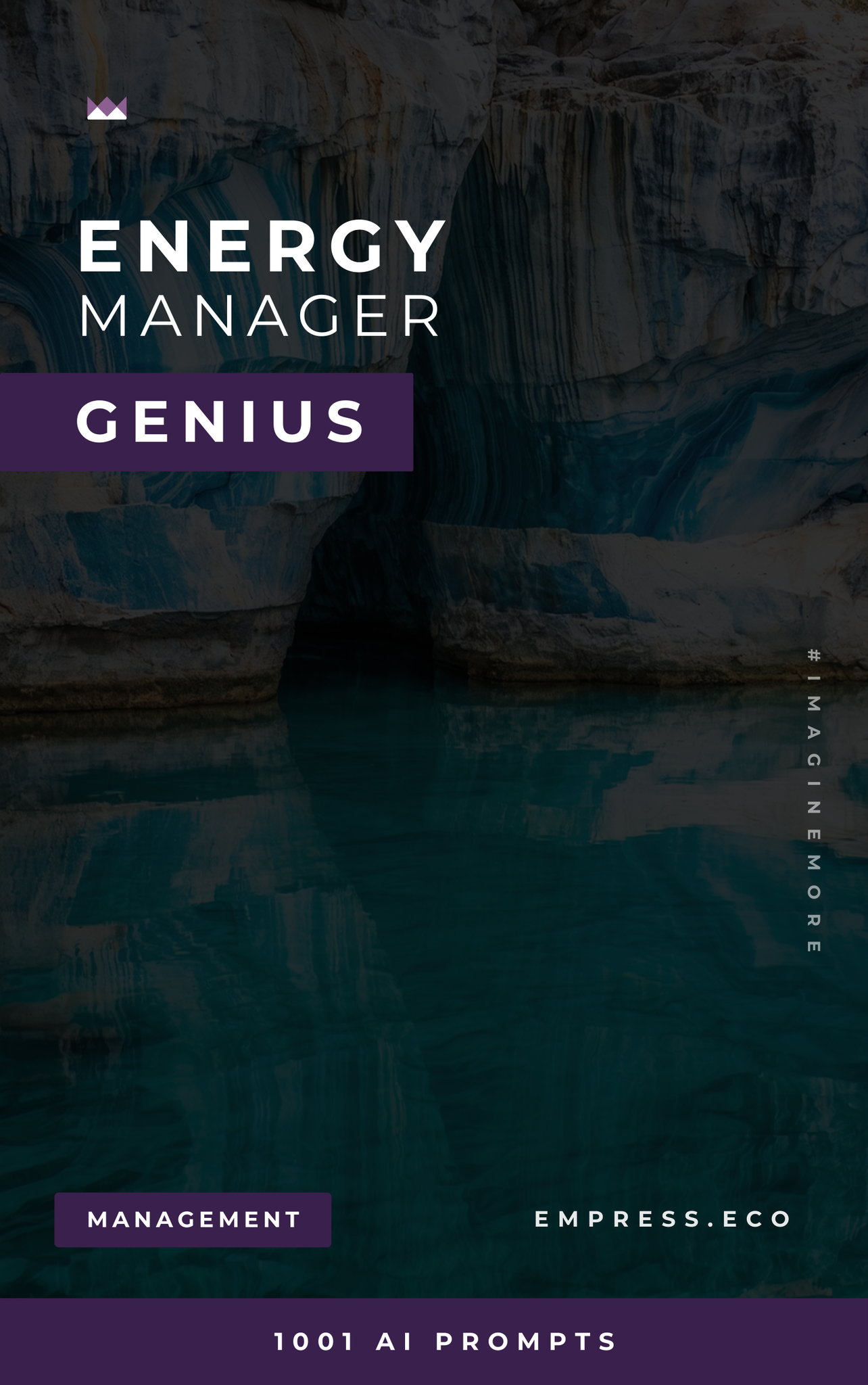 Energy Manager Genius