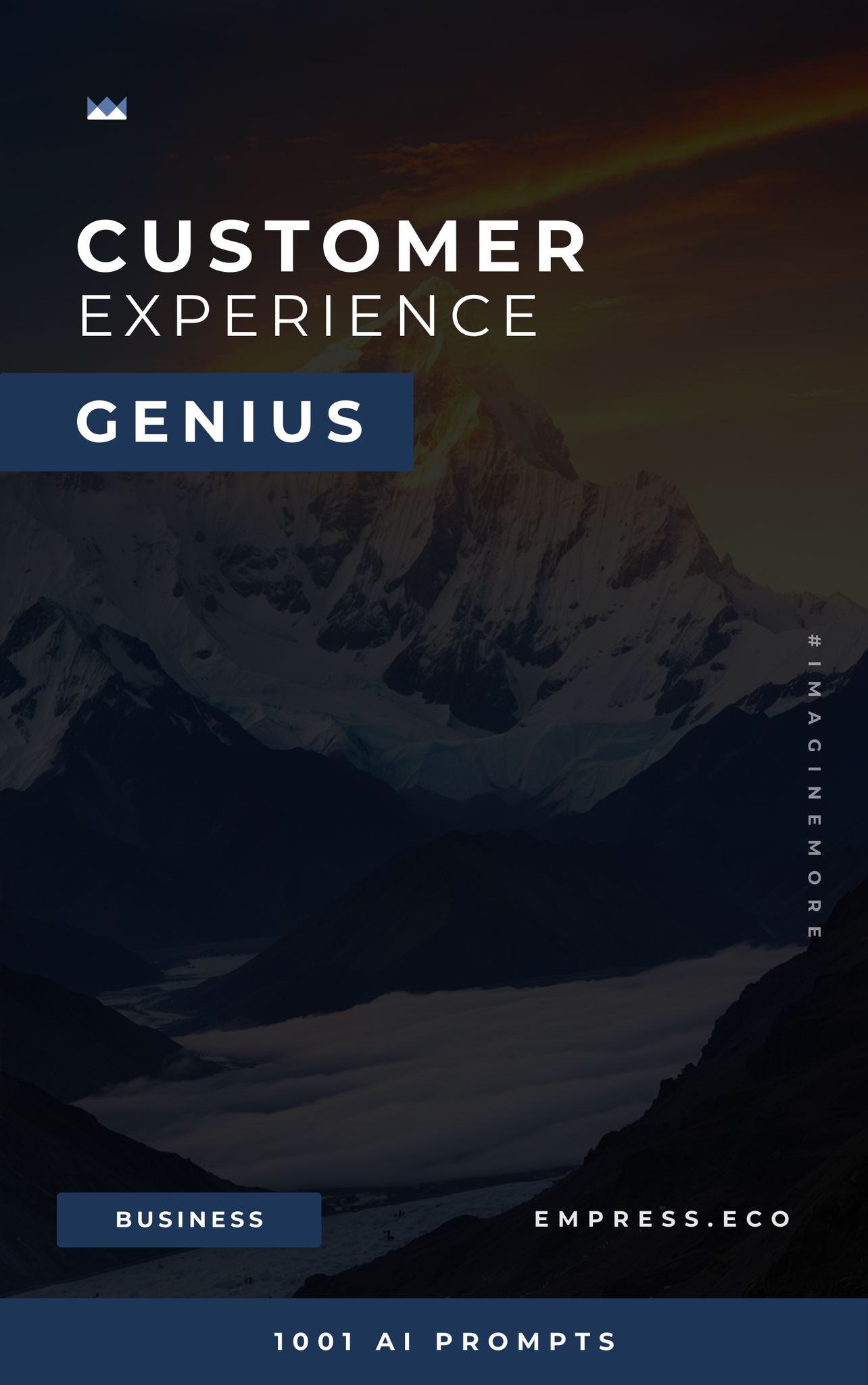 Customer Experience Genius