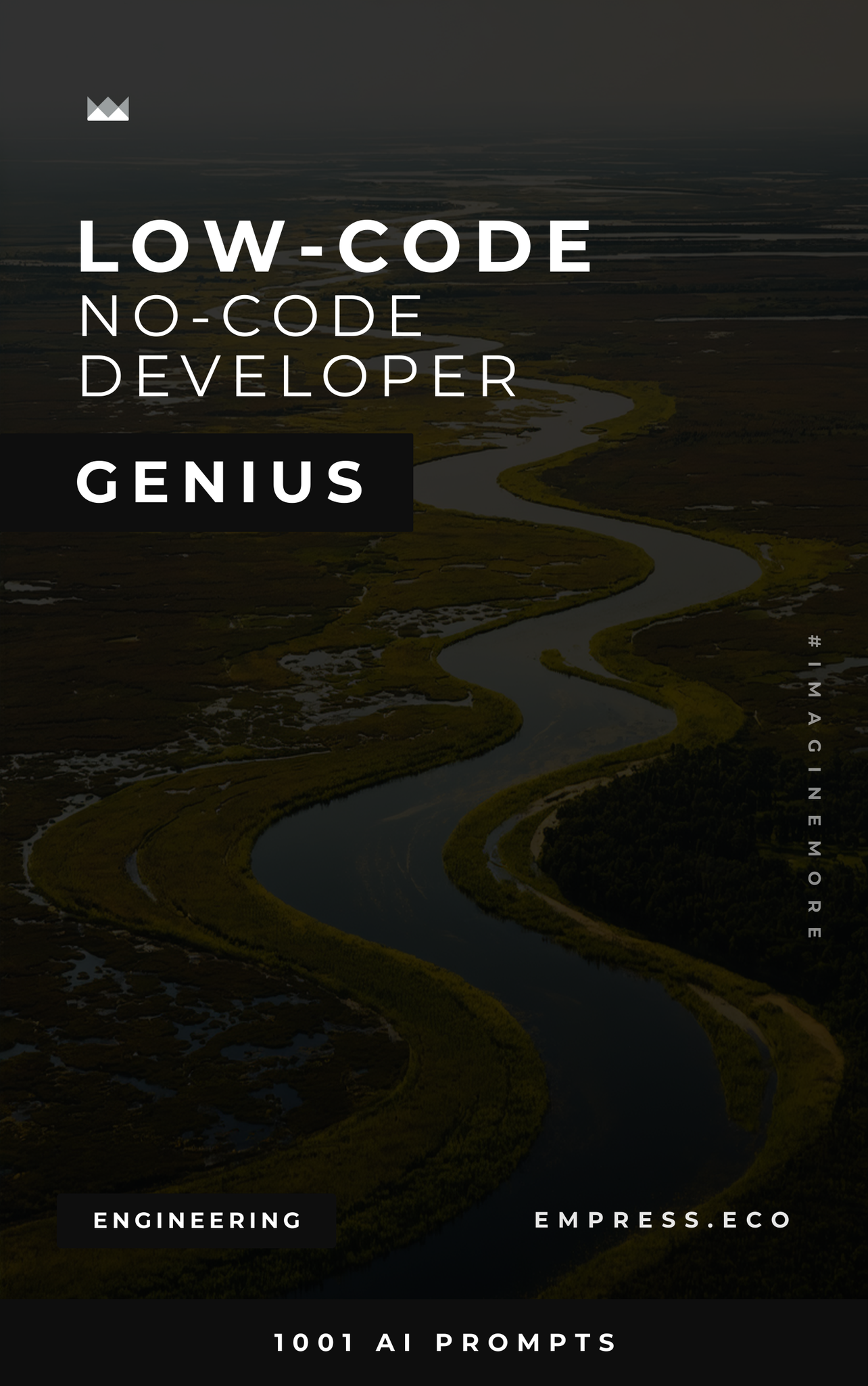Low-Code/No-Code Developer Genius