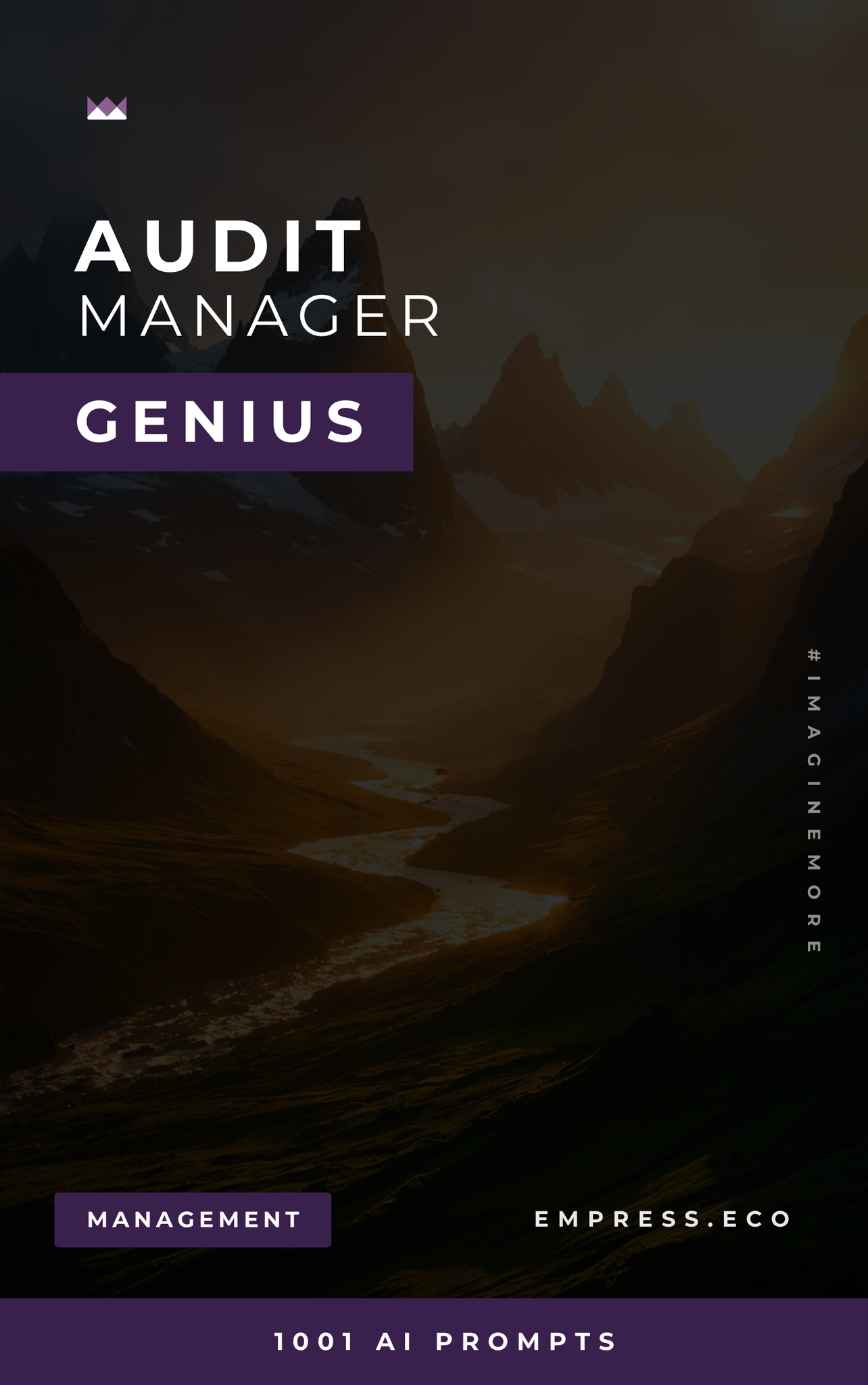 Audit Manager Genius