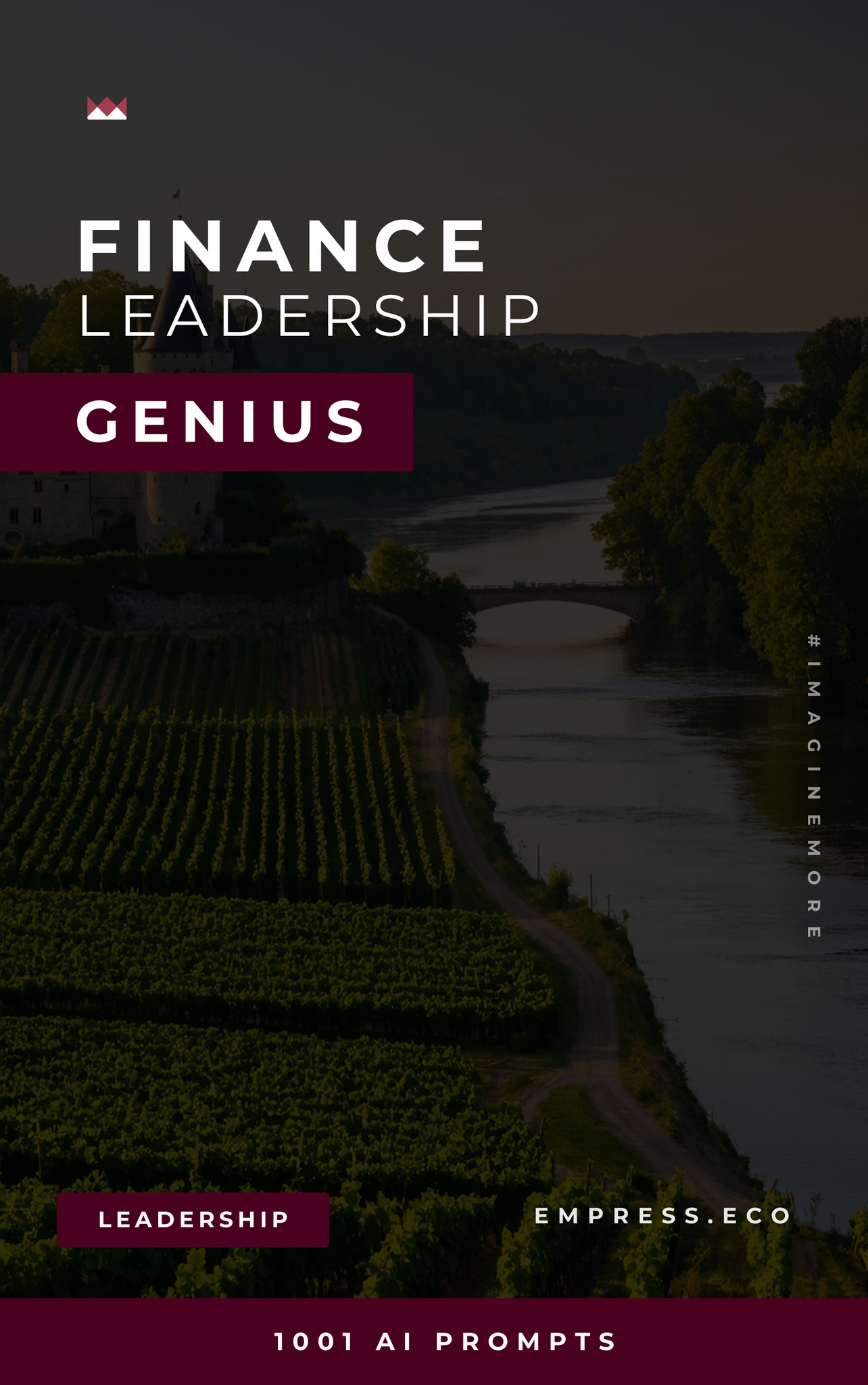 Finance Leadership Genius