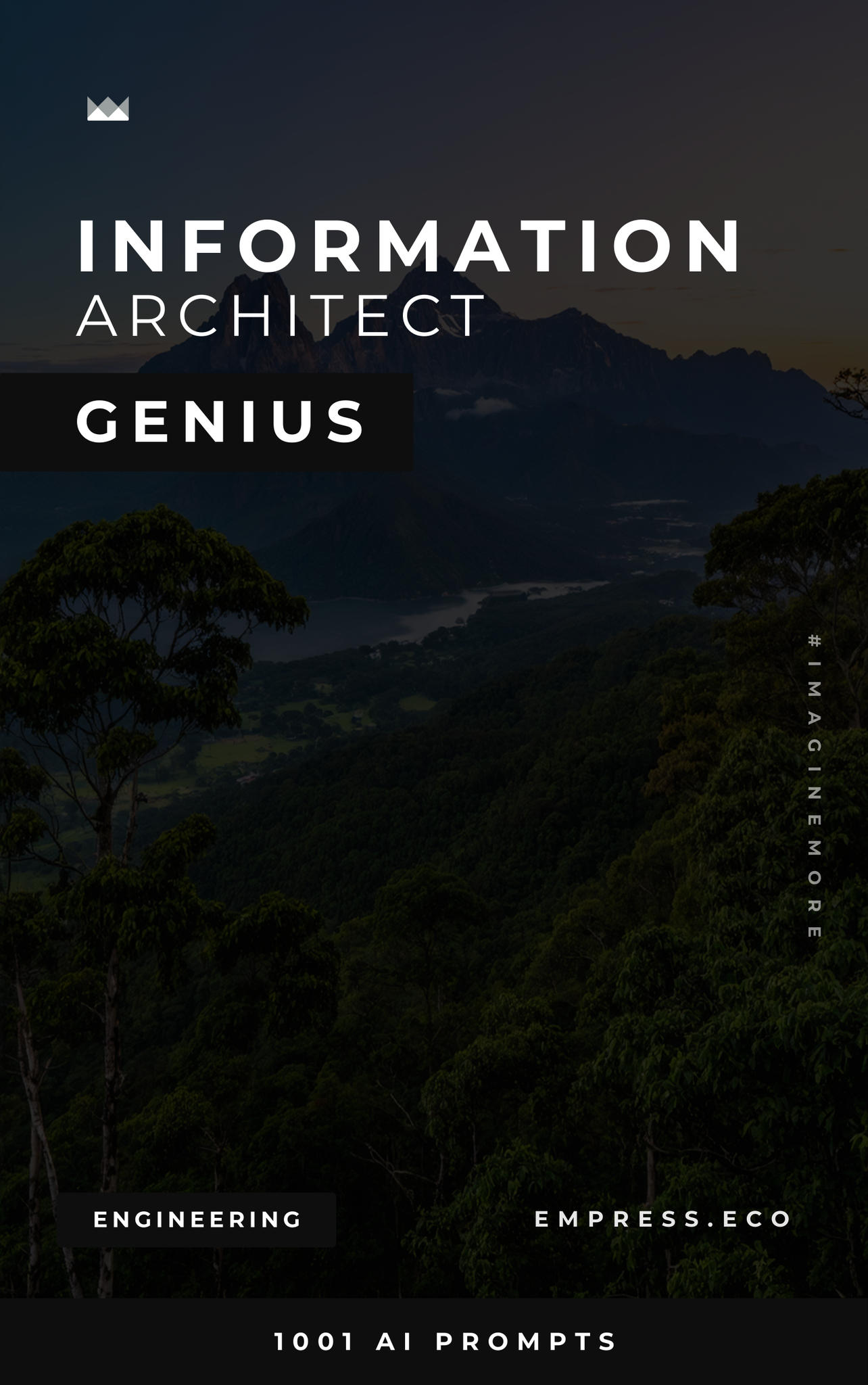 Information Architect Genius