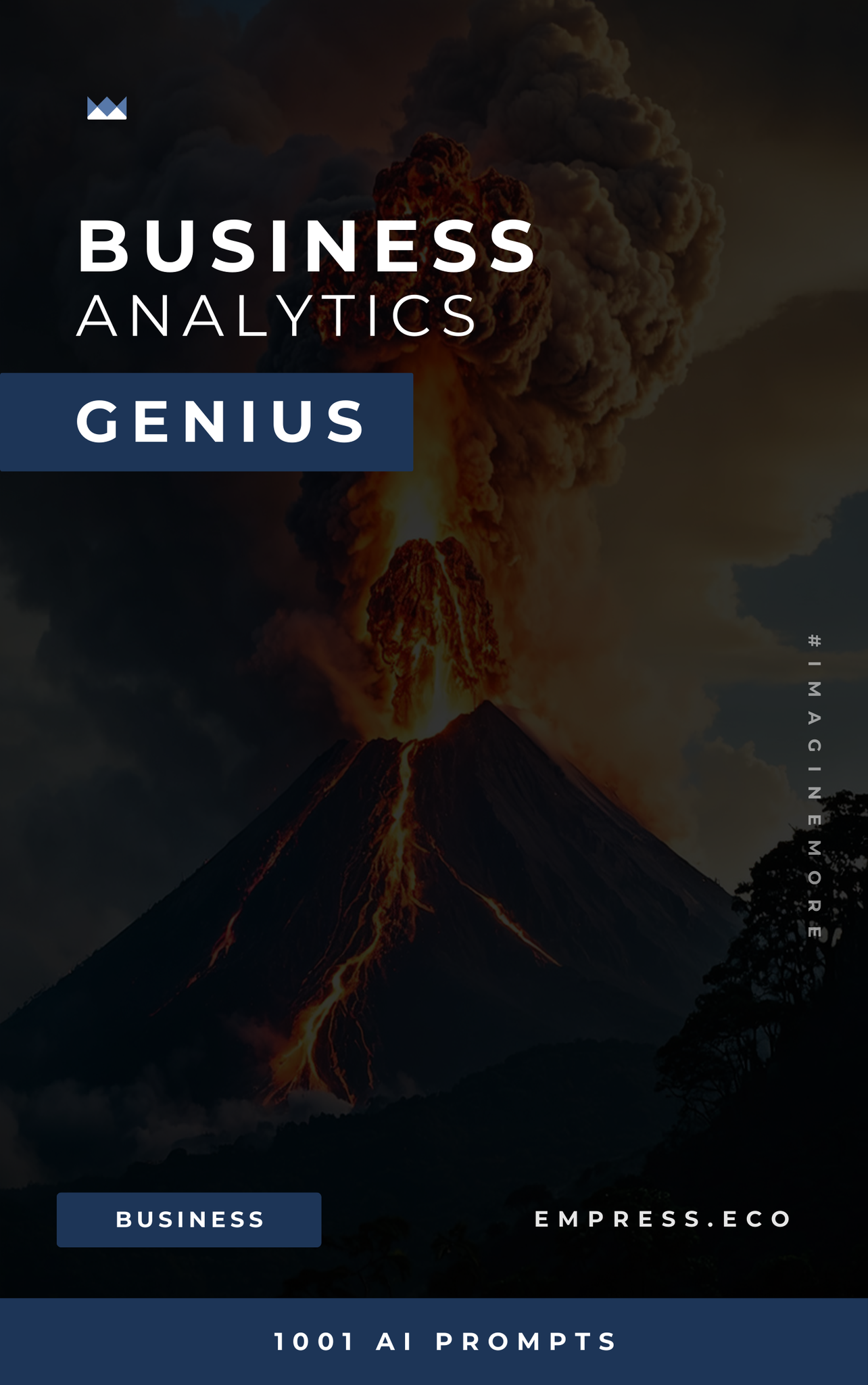 Business Analytics Genius