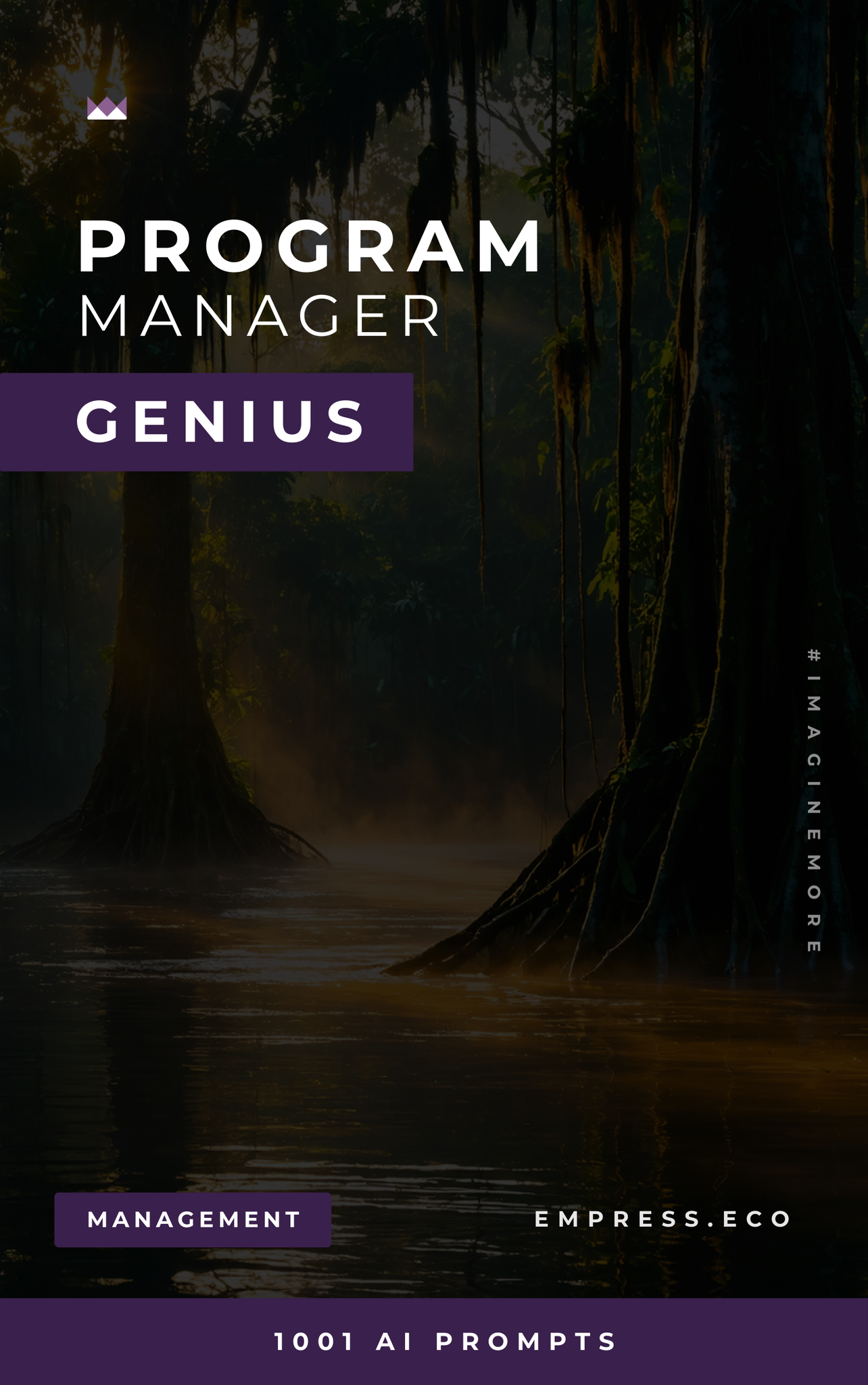 Program Manager Genius
