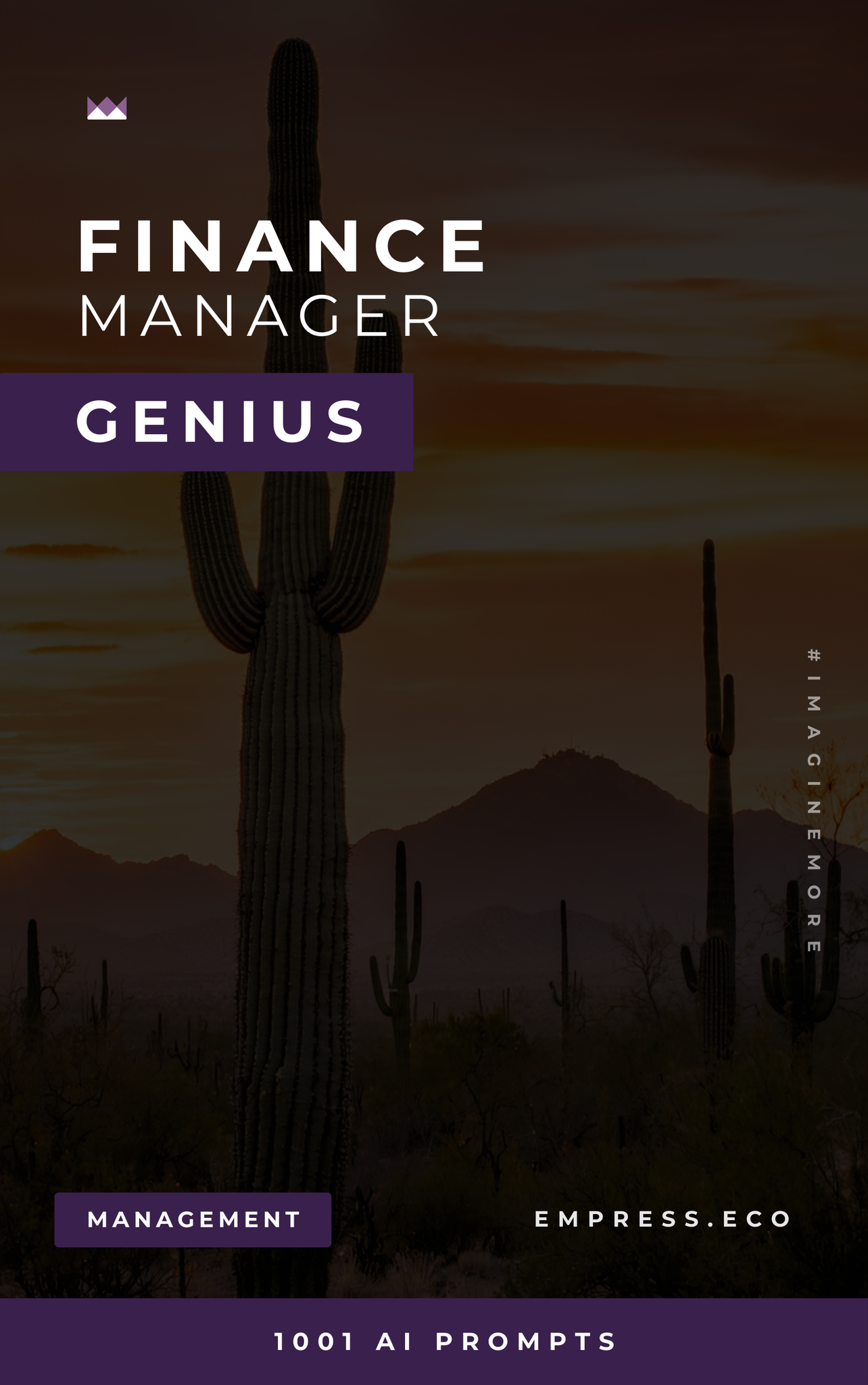 Finance Manager Genius