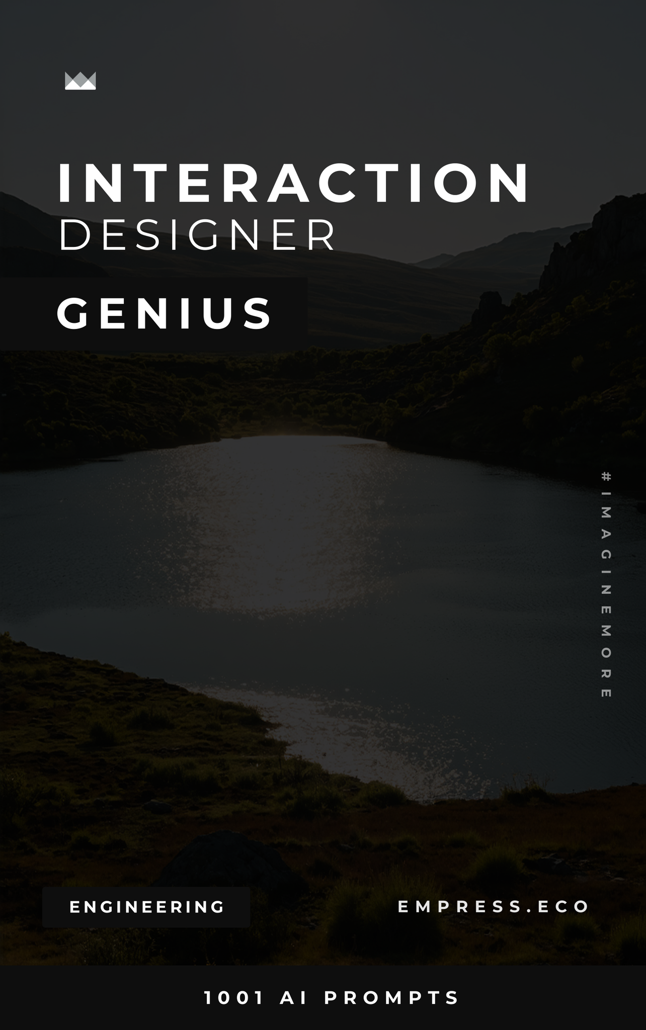 Interaction Designer Genius