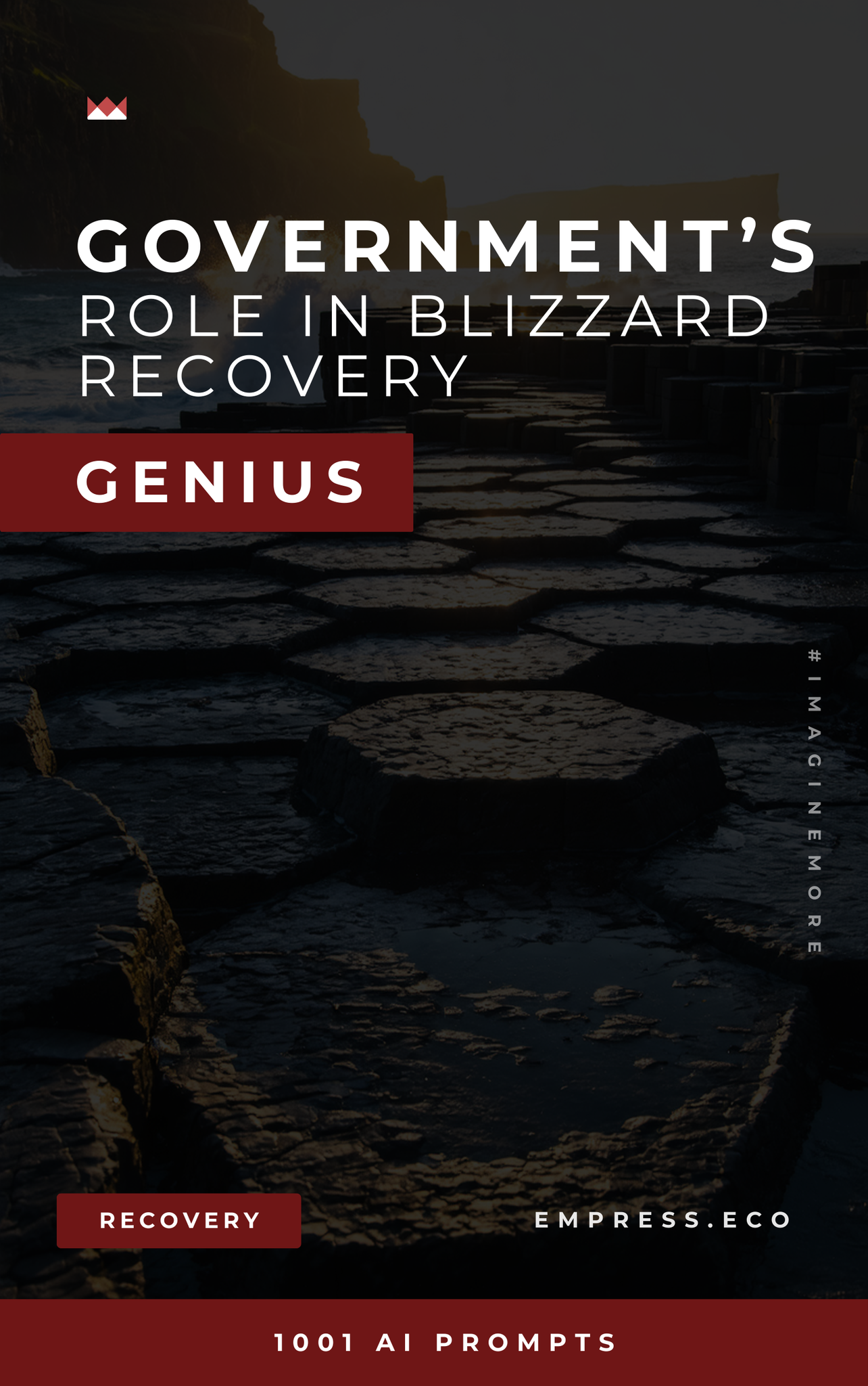 Government’s Role in Blizzard Recovery Genius