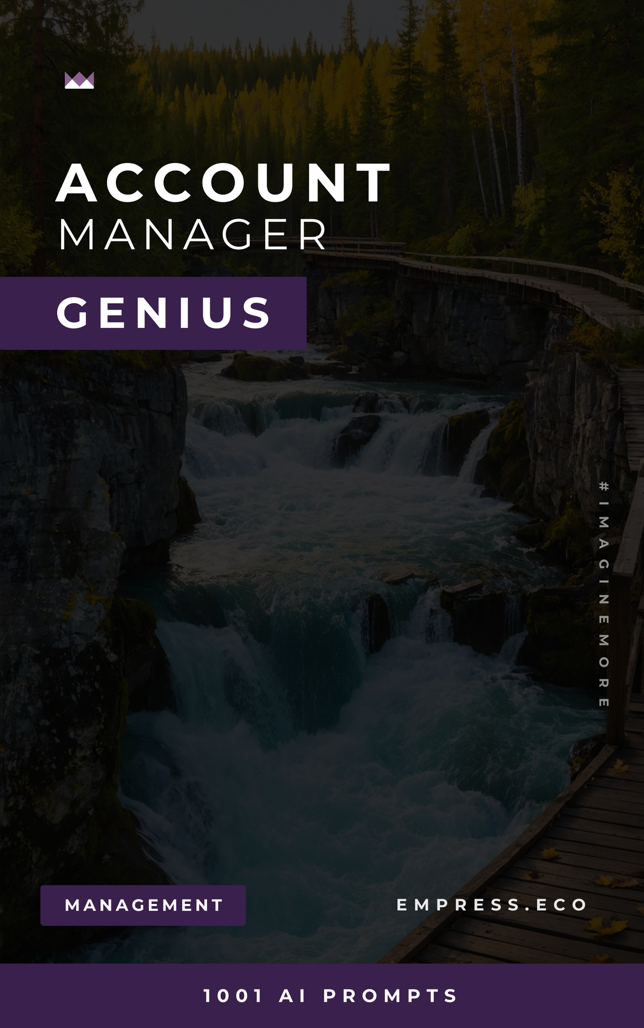 Account Manager Genius