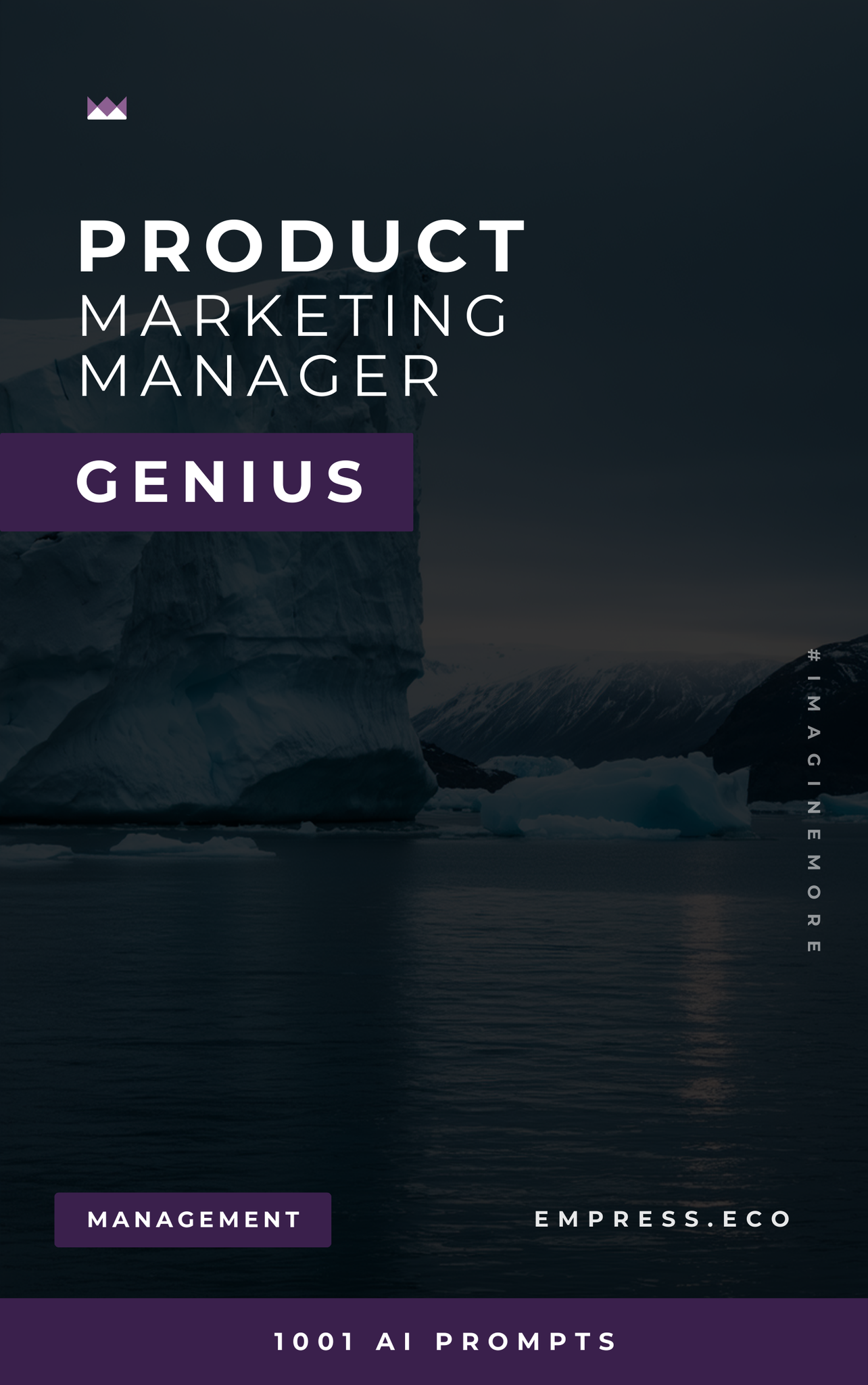 Product Marketing Manager Genius