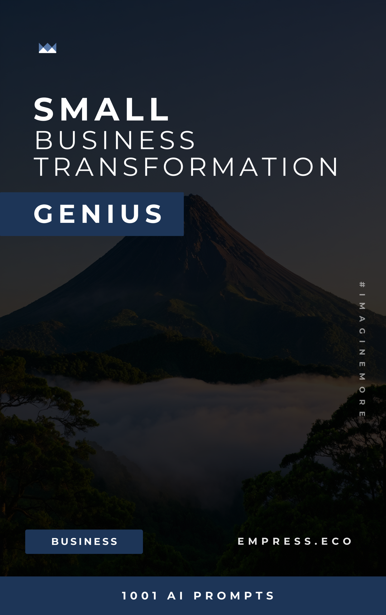 Small Business Transformation Genius