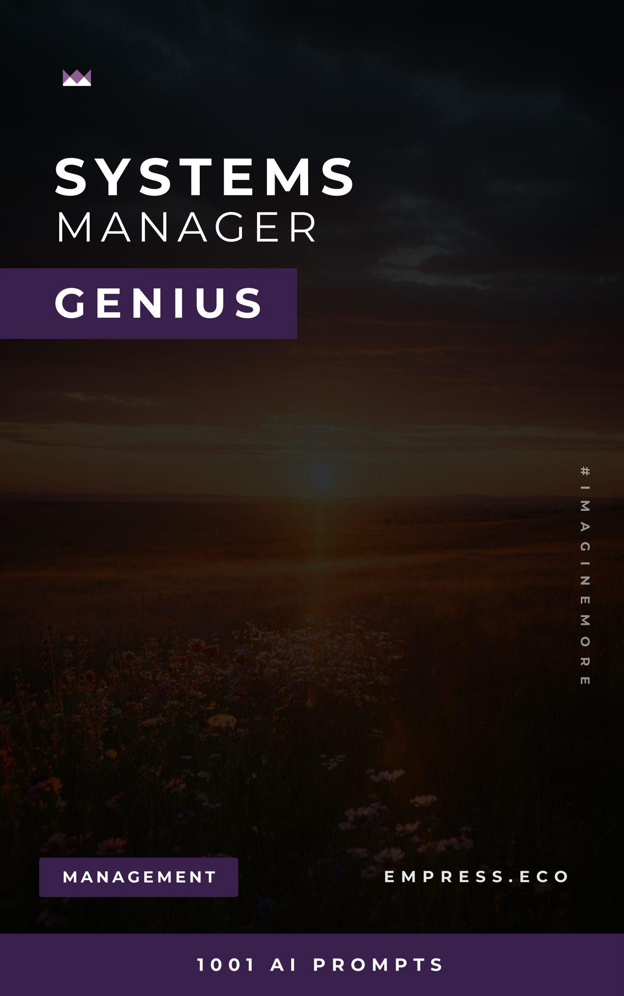 Systems Manager Genius