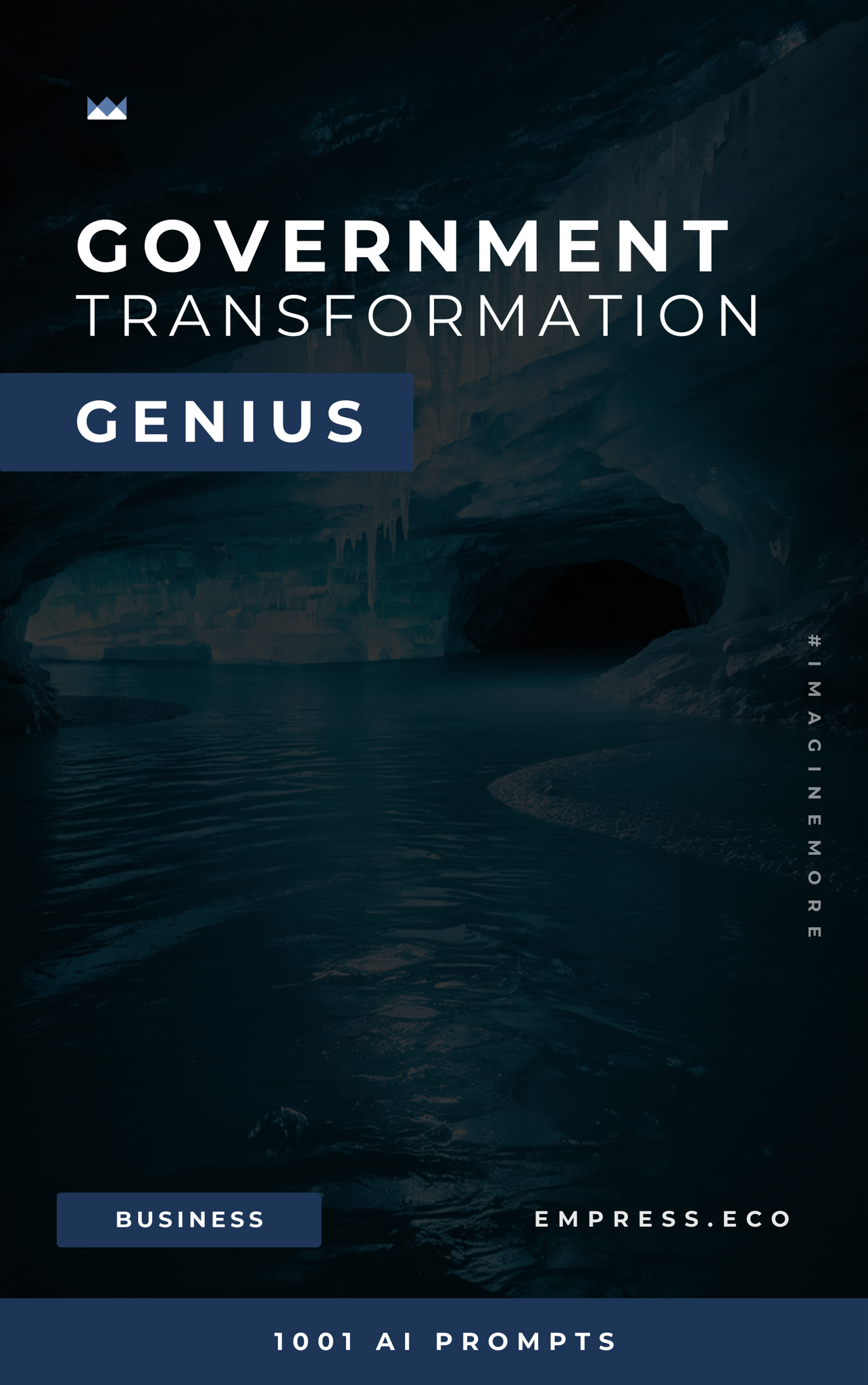 Government Transformation Genius