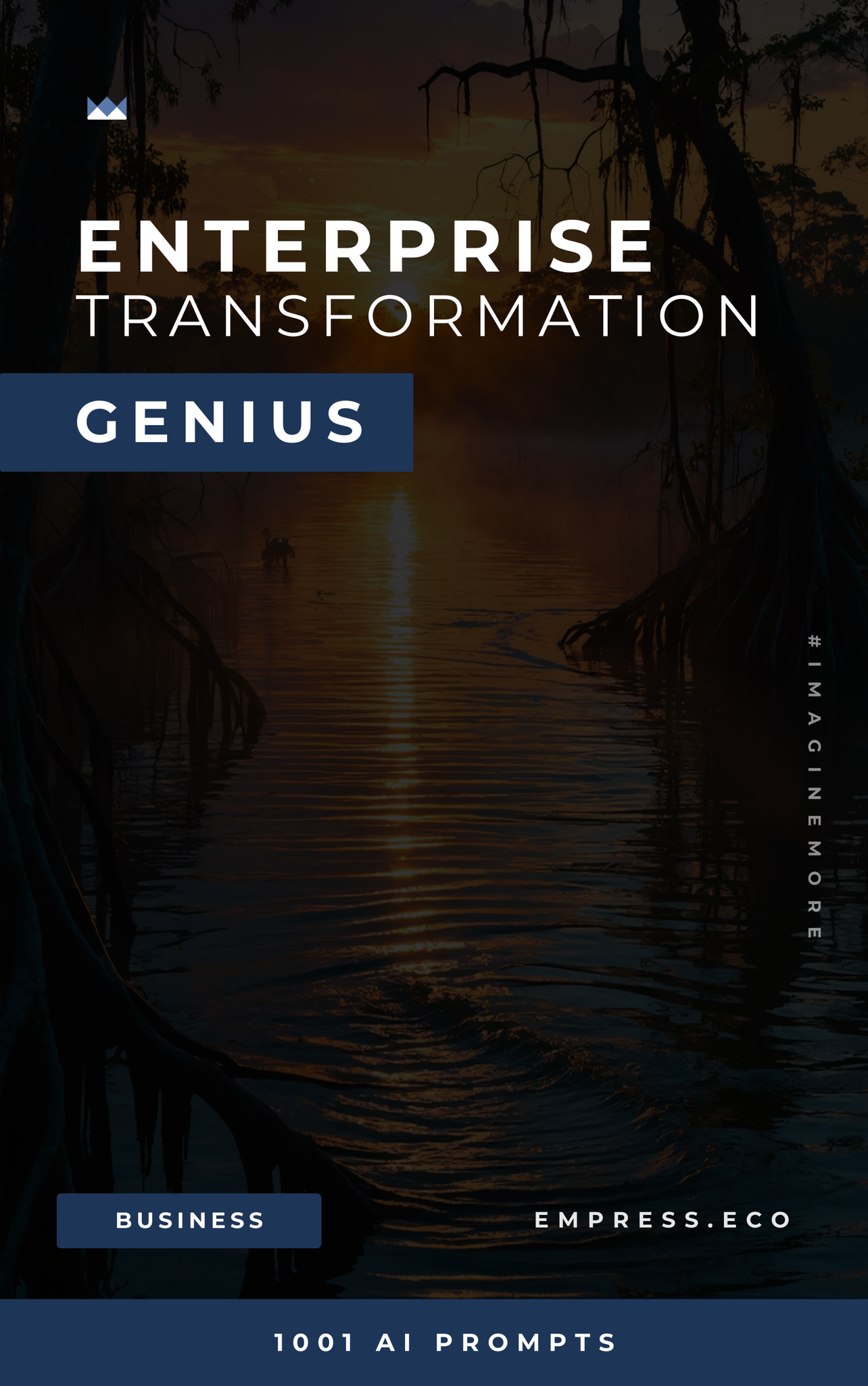 Enterprise Transformation Genius