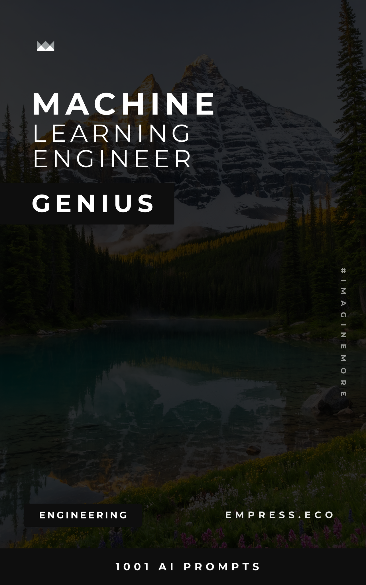 Machine Learning Engineer Genius