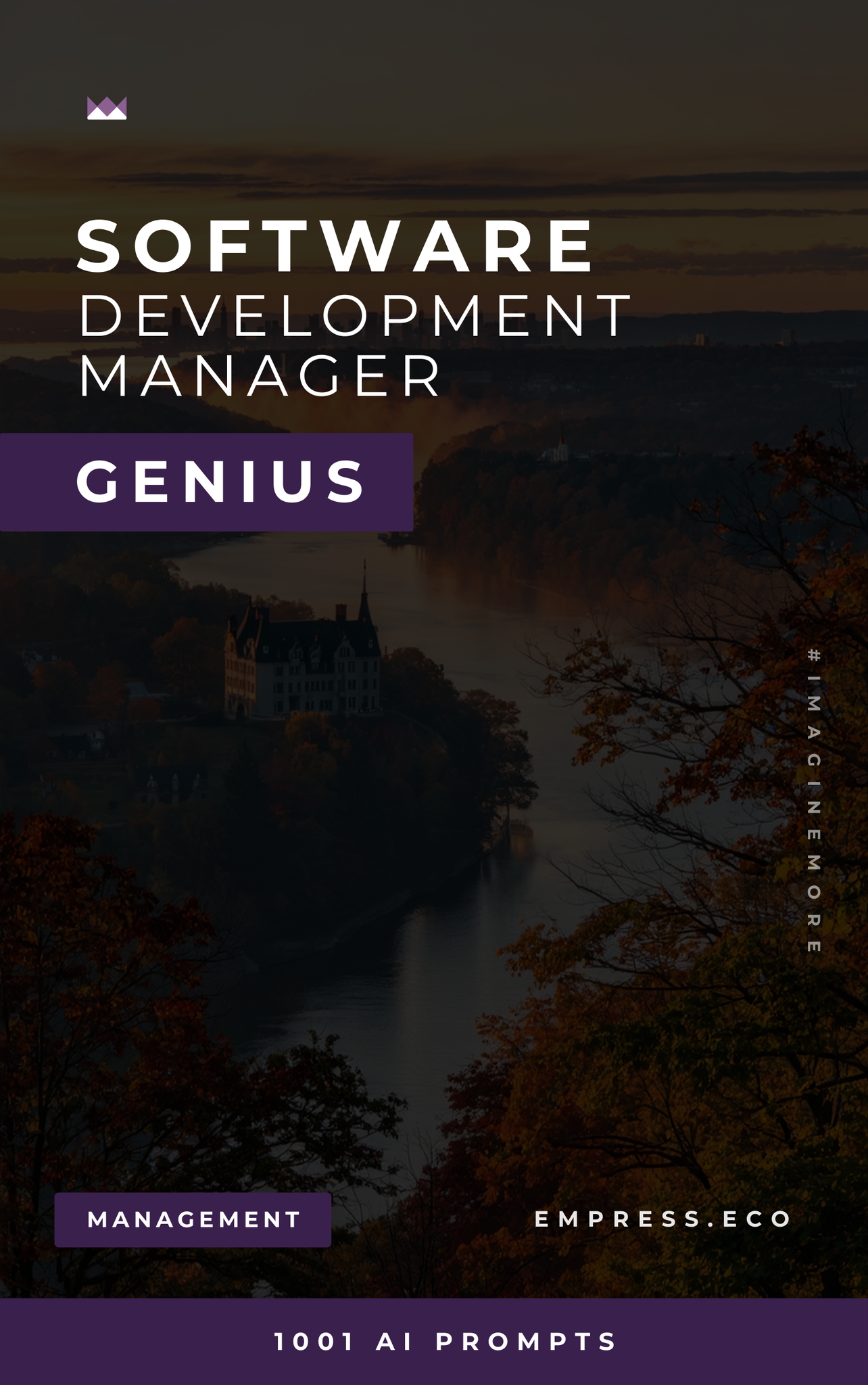 Software Development Manager Genius