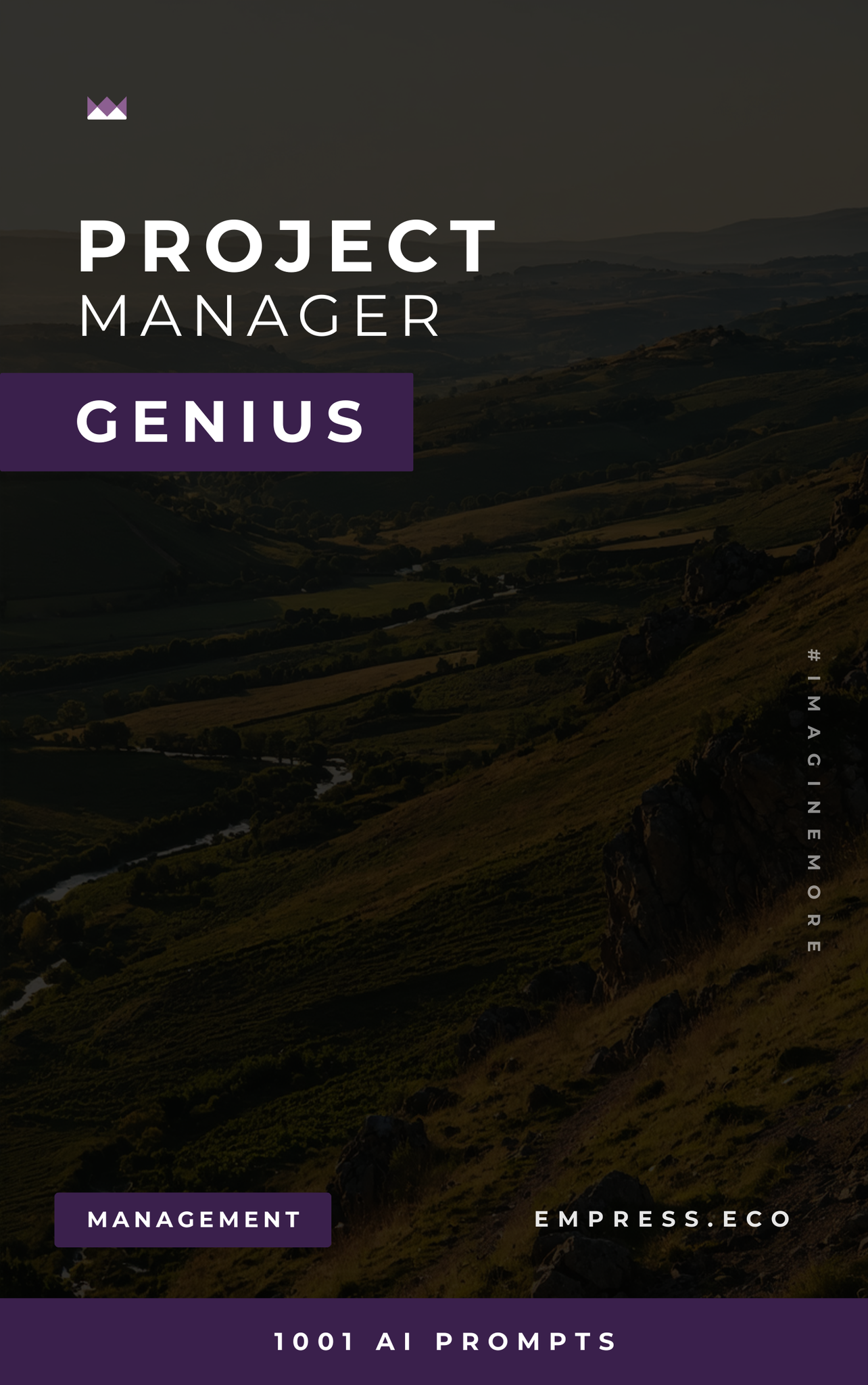 Project Manager Genius