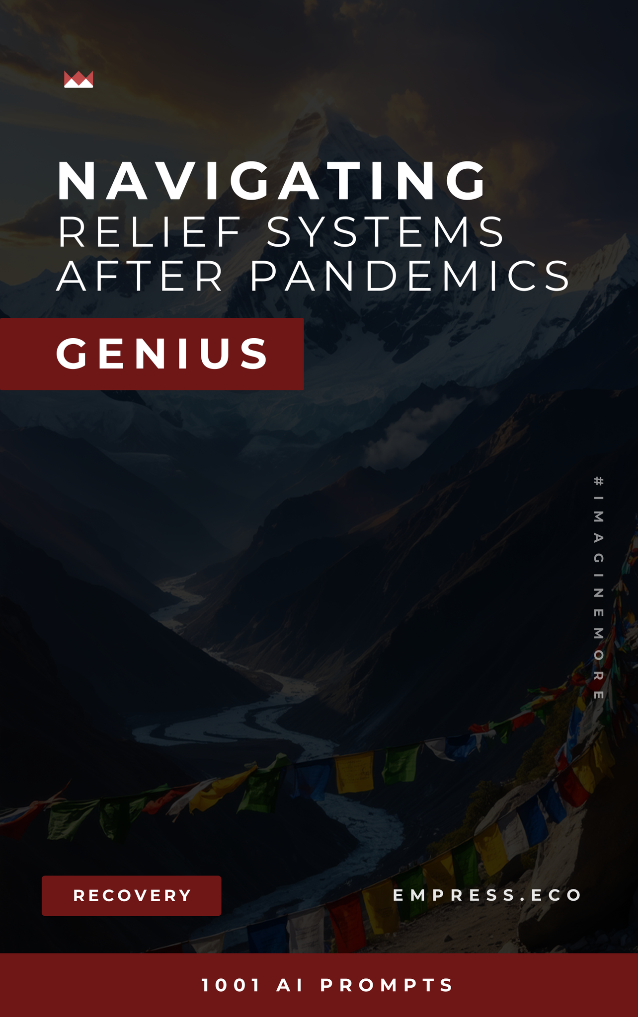 Navigating Relief Systems After Pandemics Genius