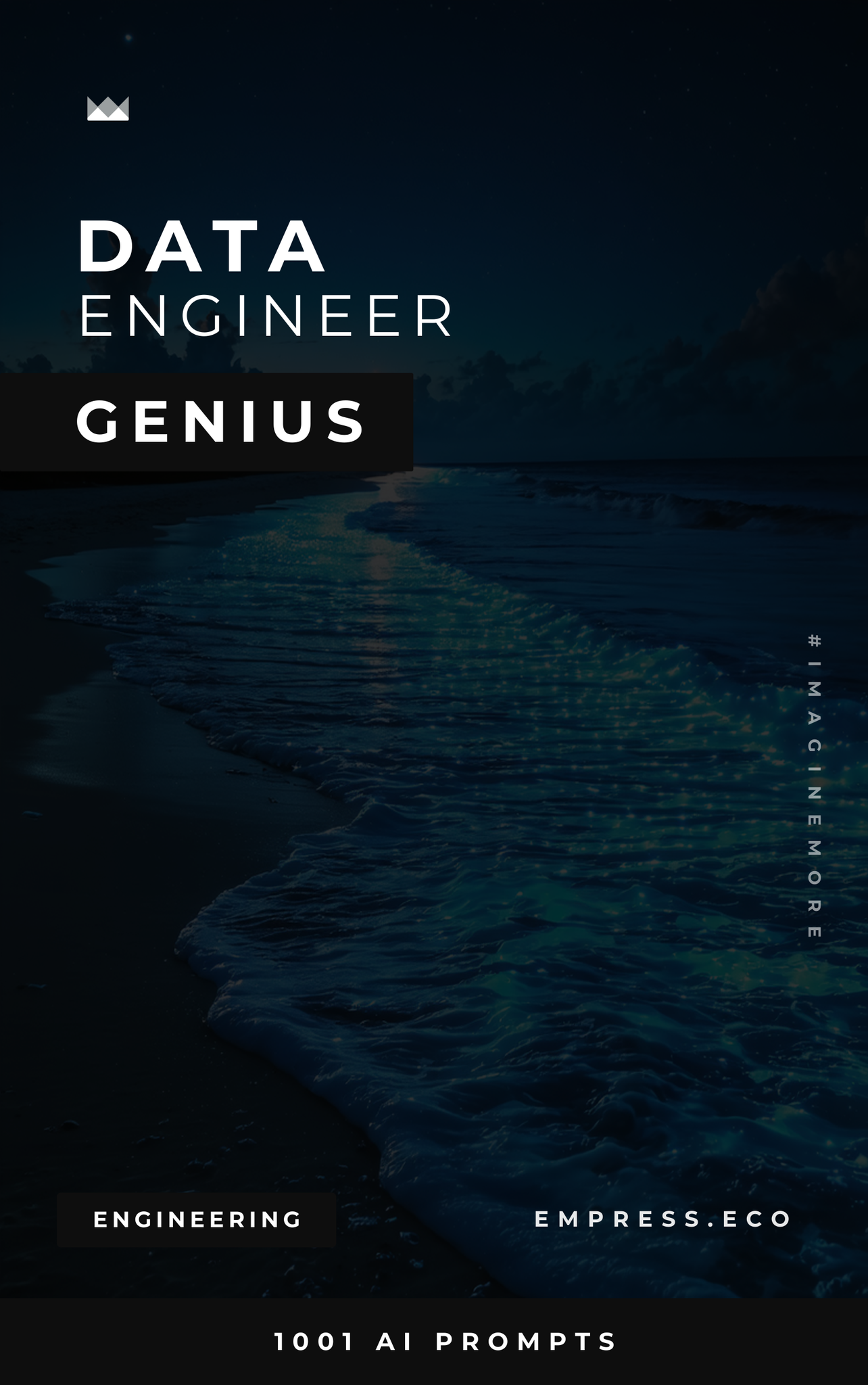 Data Engineer Genius