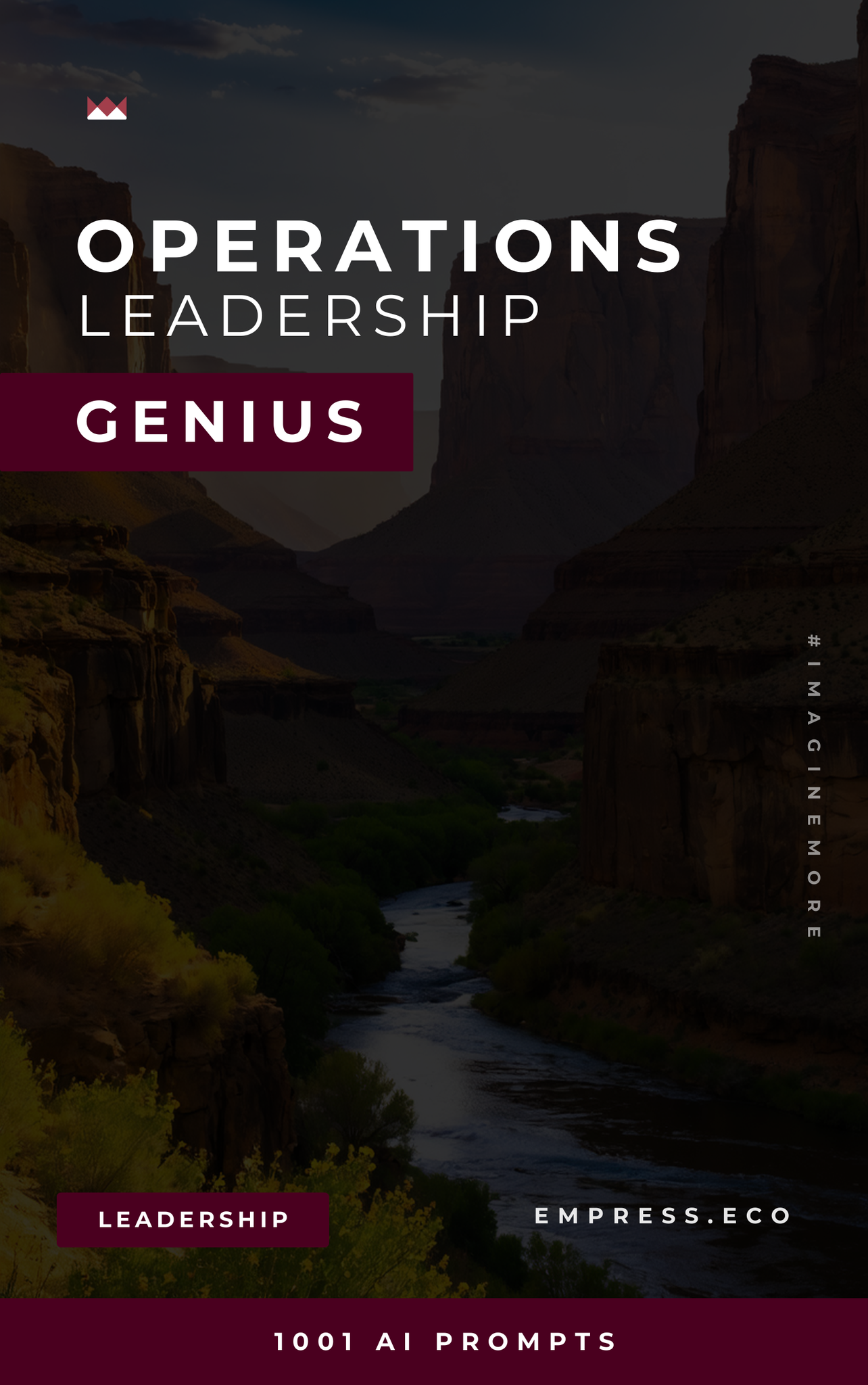 Operations Leadership Genius