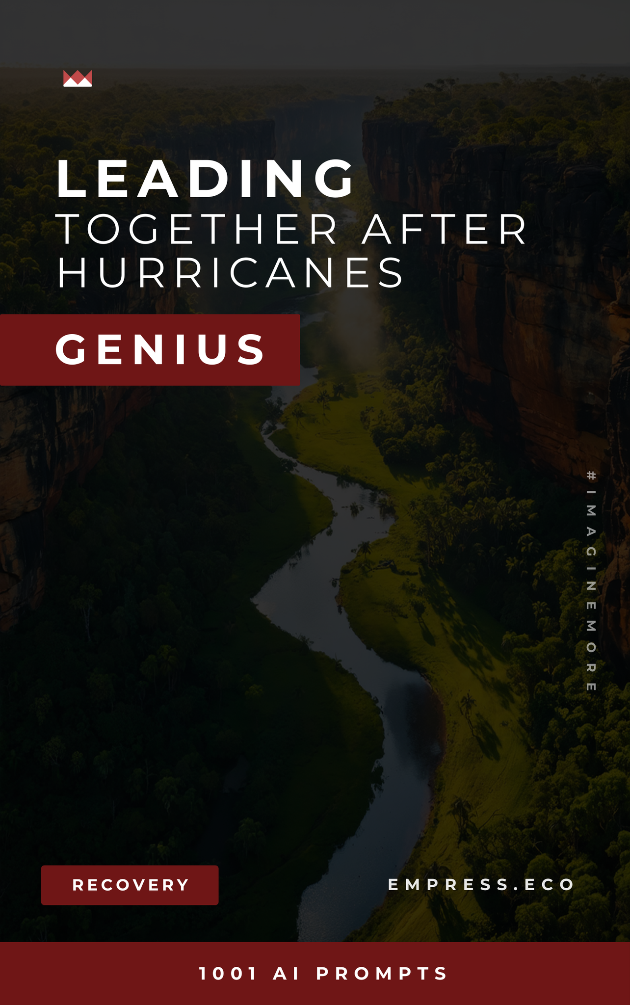 Leading Together After Hurricanes Genius