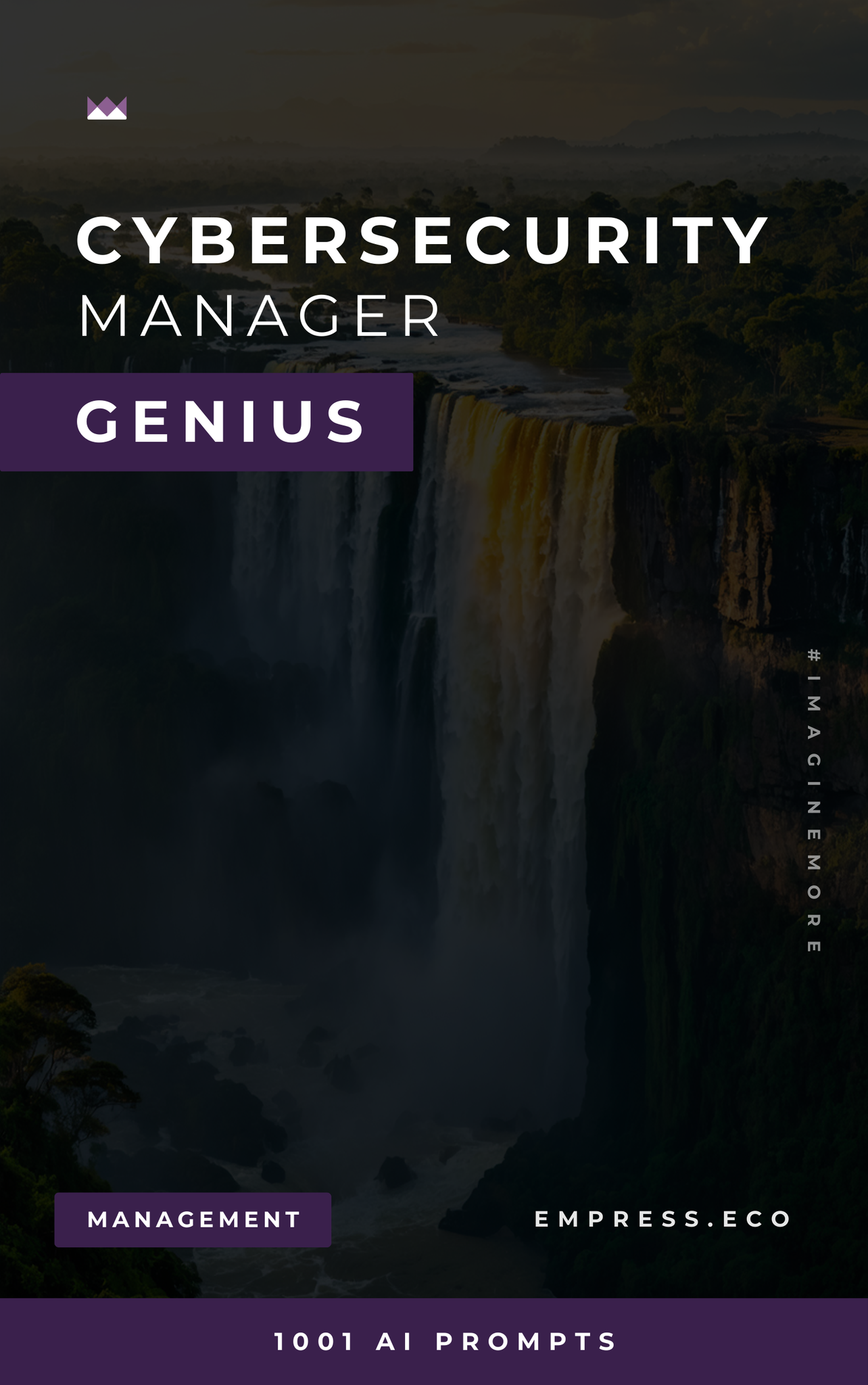 Cybersecurity Manager Genius