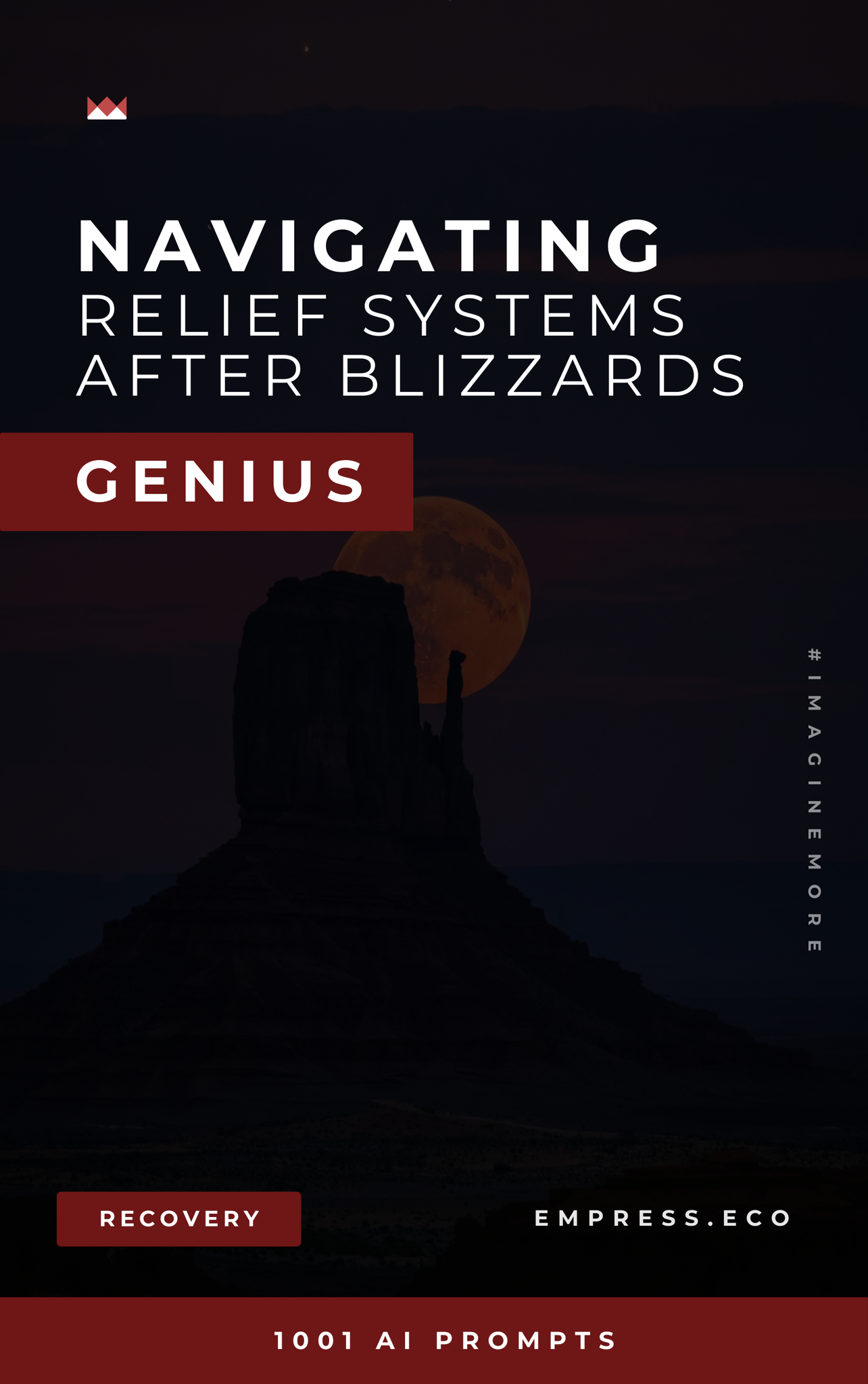 Navigating Relief Systems After Blizzards Genius