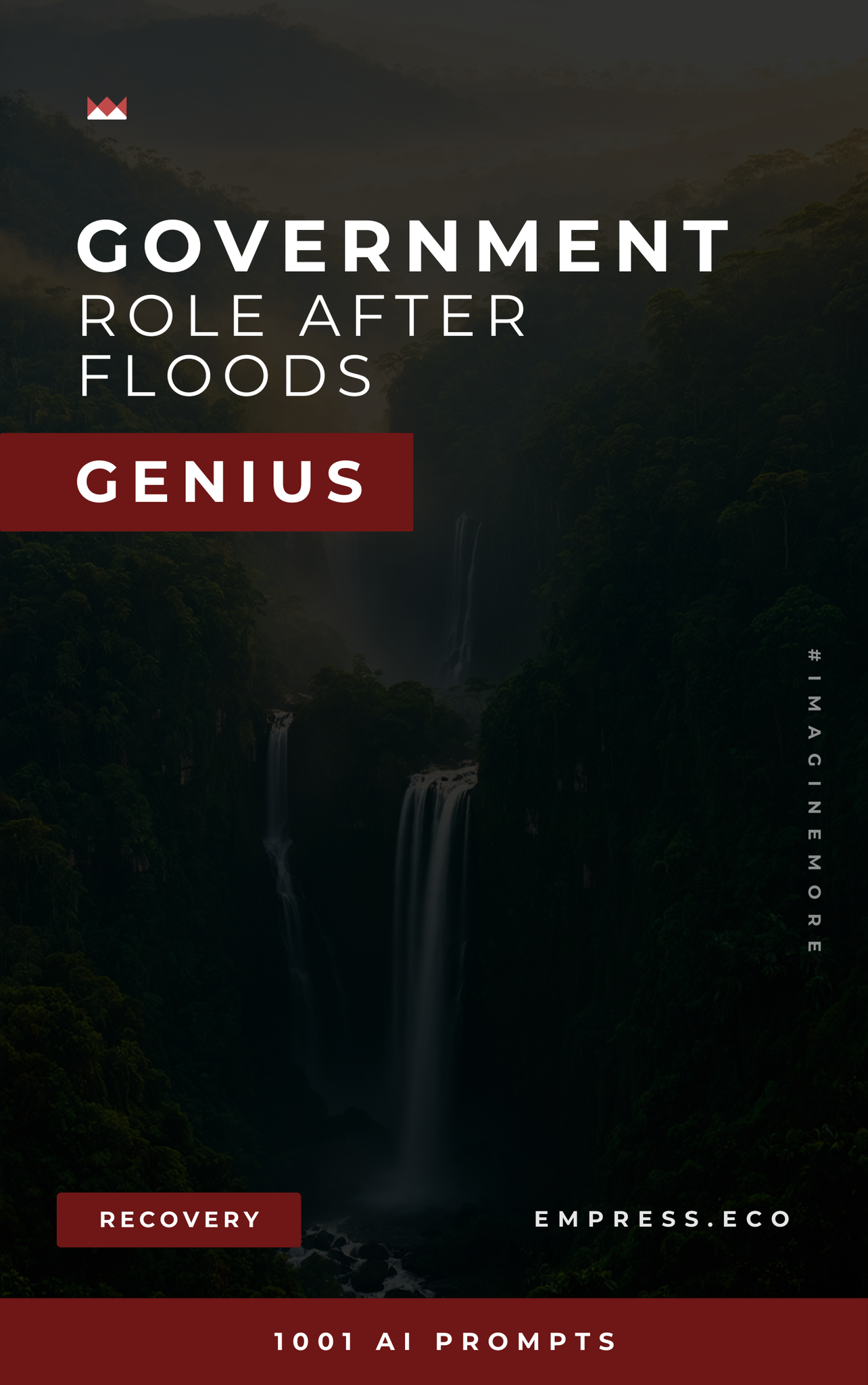 Government’s Role After Floods Genius