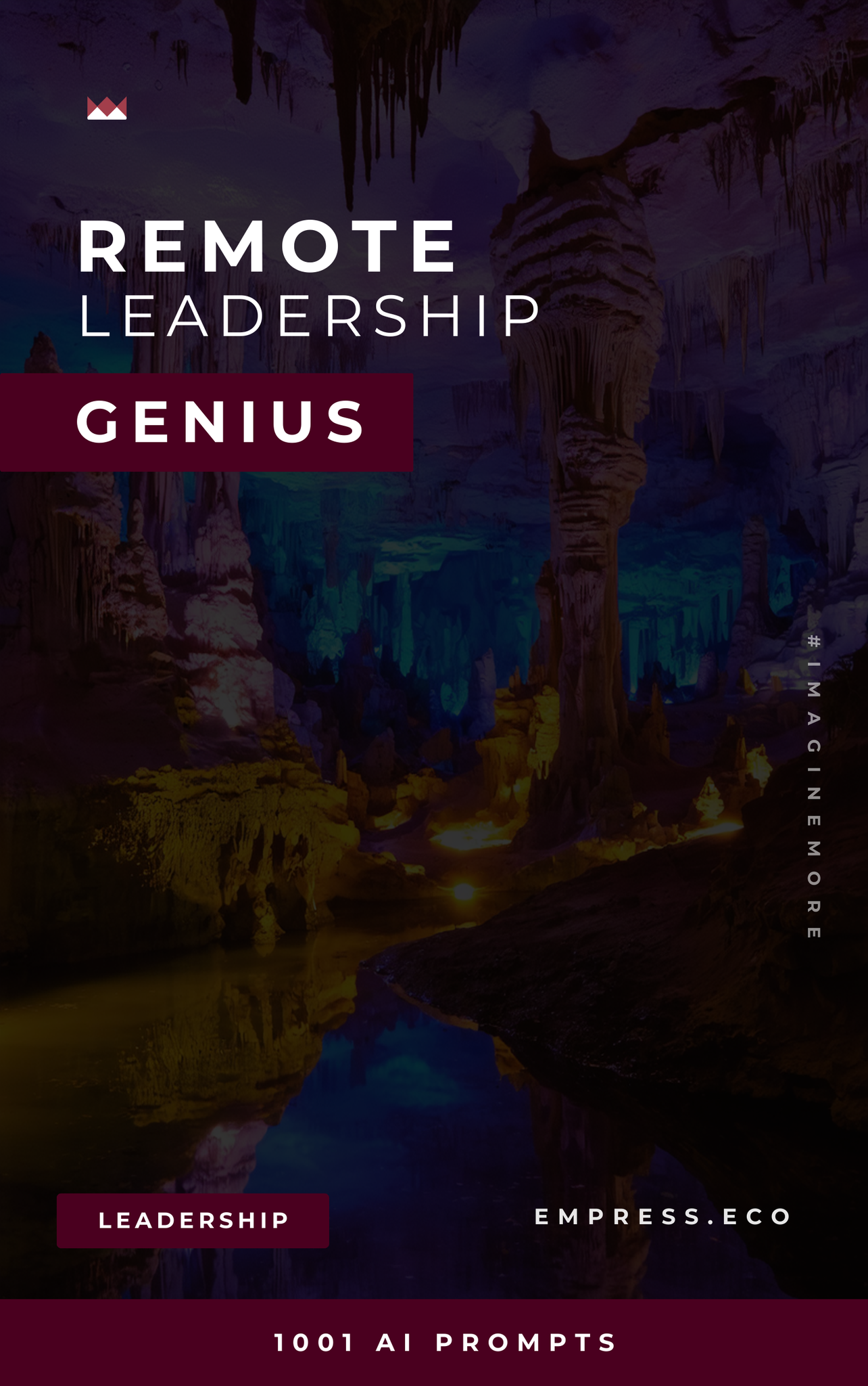 Remote Leadership Genius