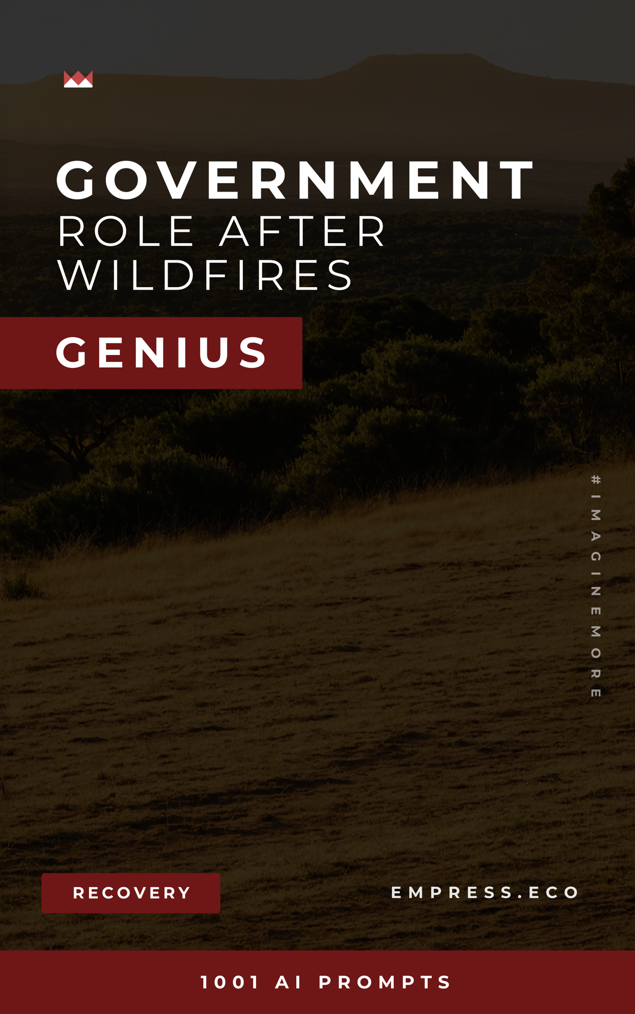 Government's Role After Wildfires Genius