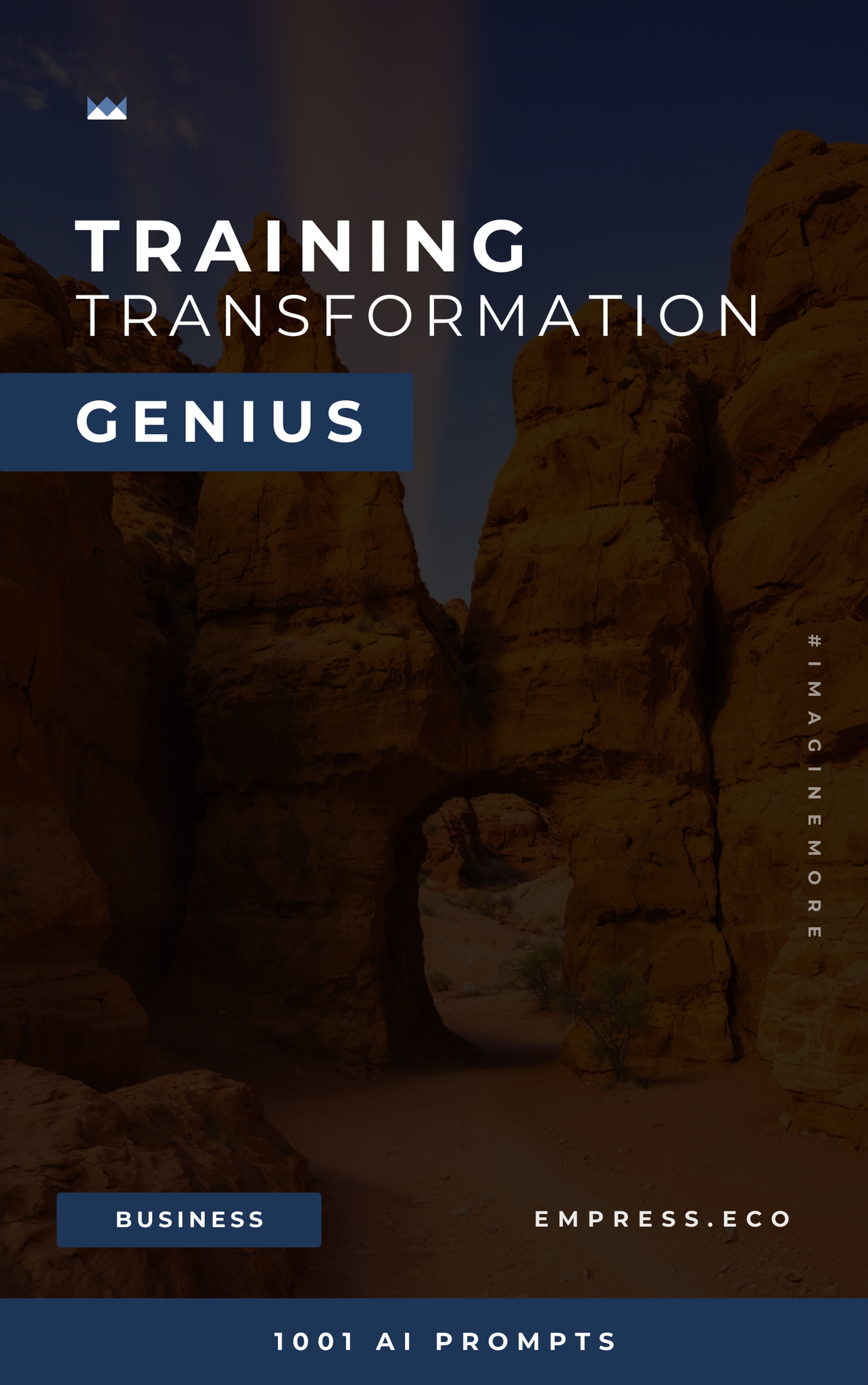 Training Transformation Genius