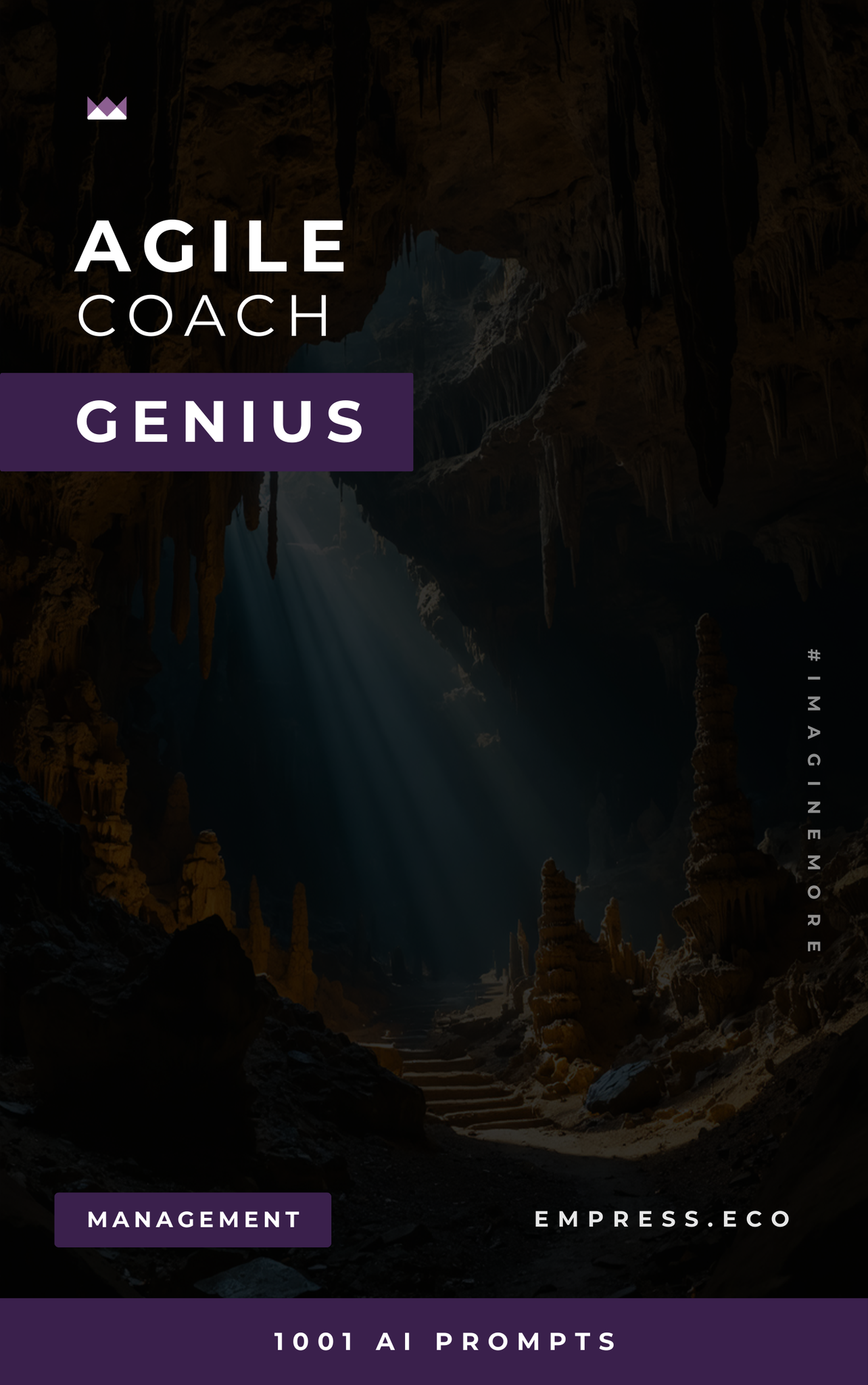 Agile Coach Genius