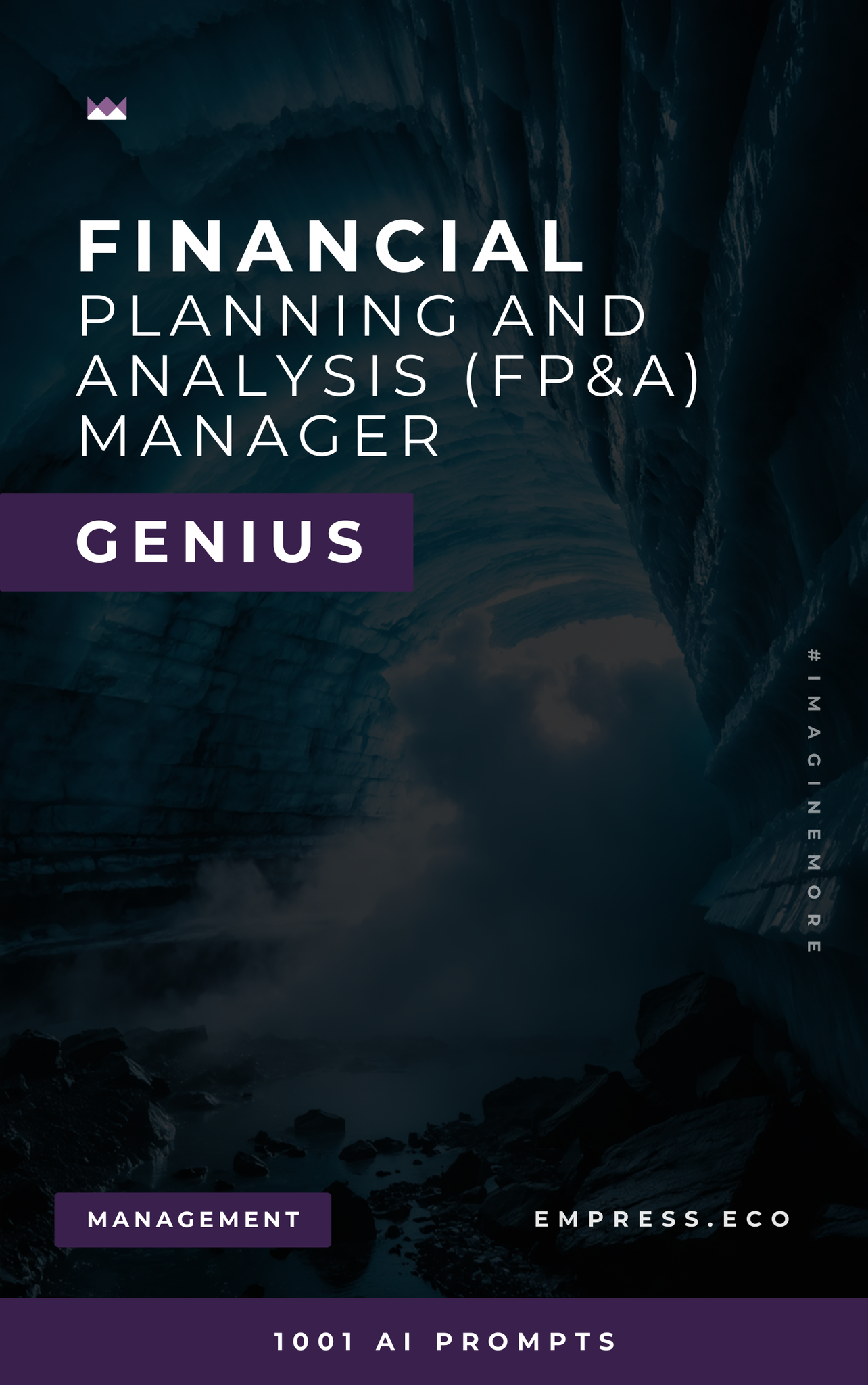 Financial Planning and Analysis (FP&A) Manager Genius