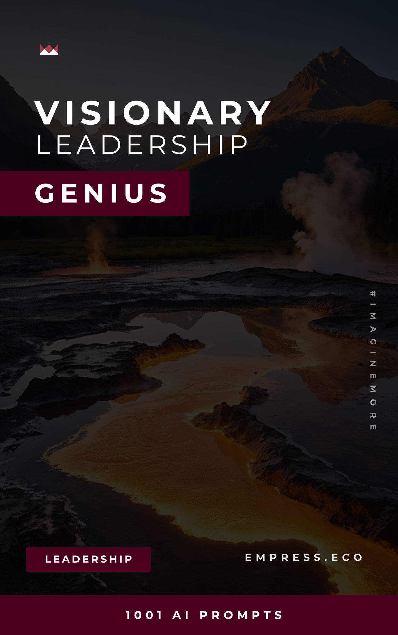Visionary Leadership Genius