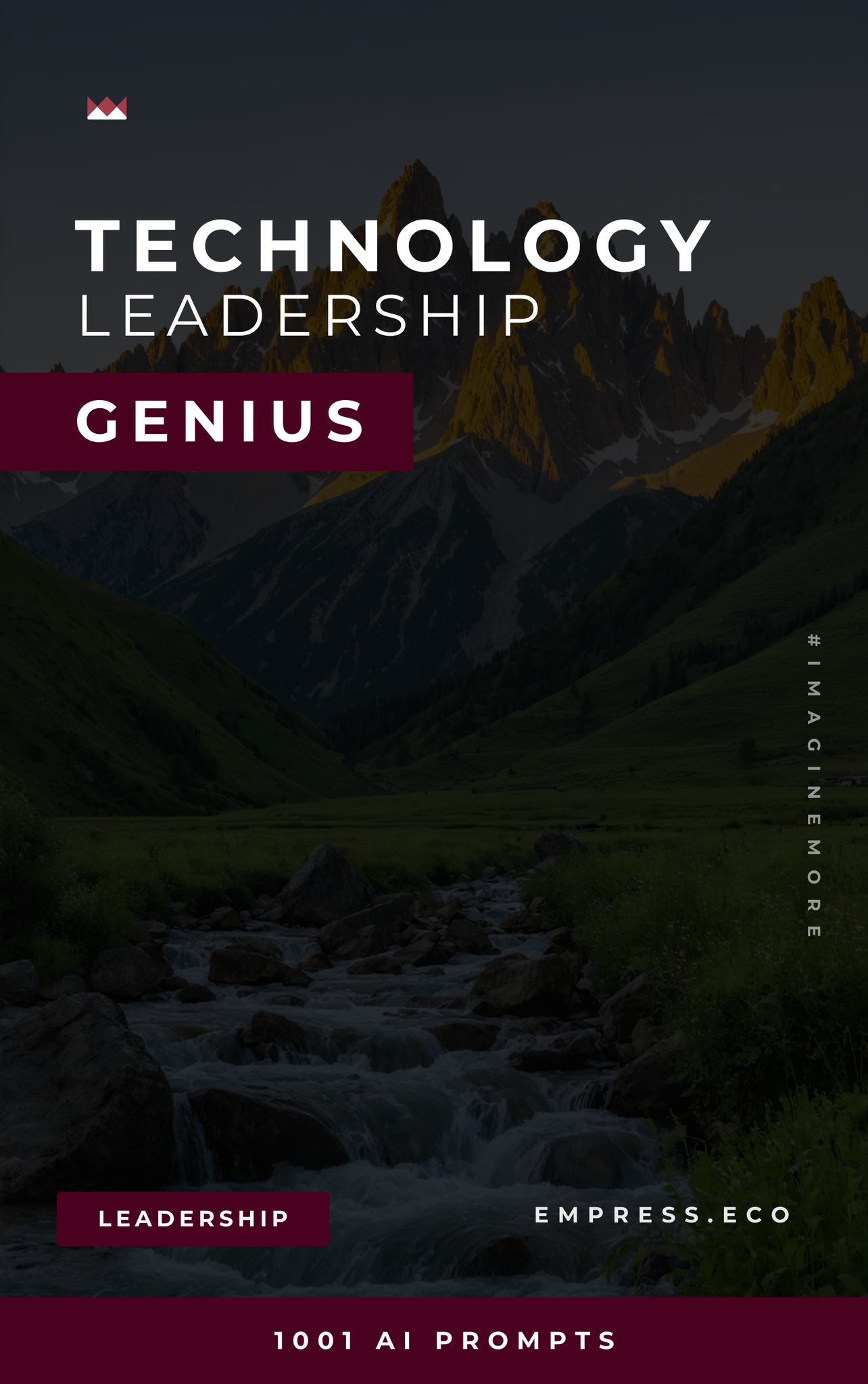 Technology Leadership Genius