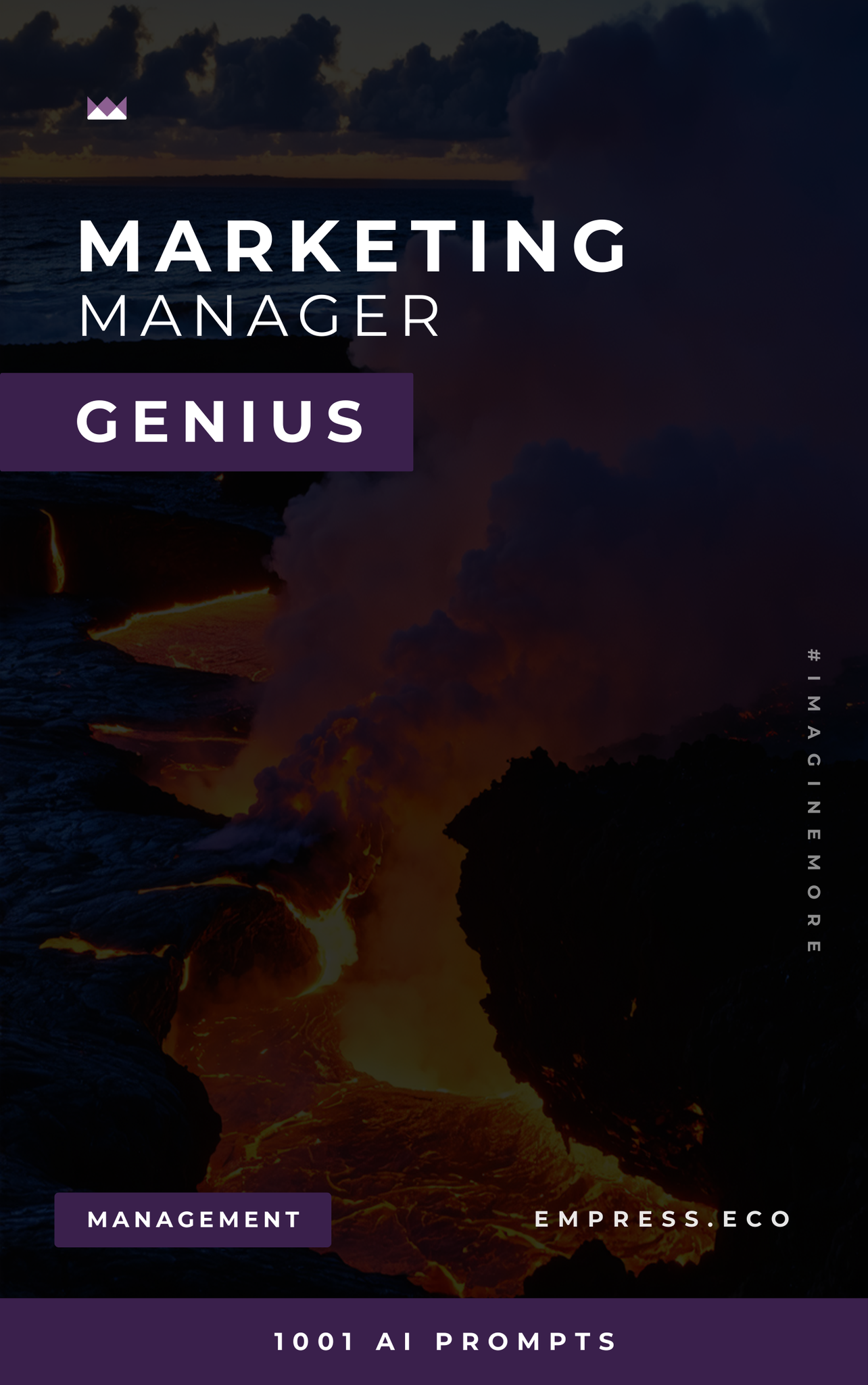 Marketing Manager Genius
