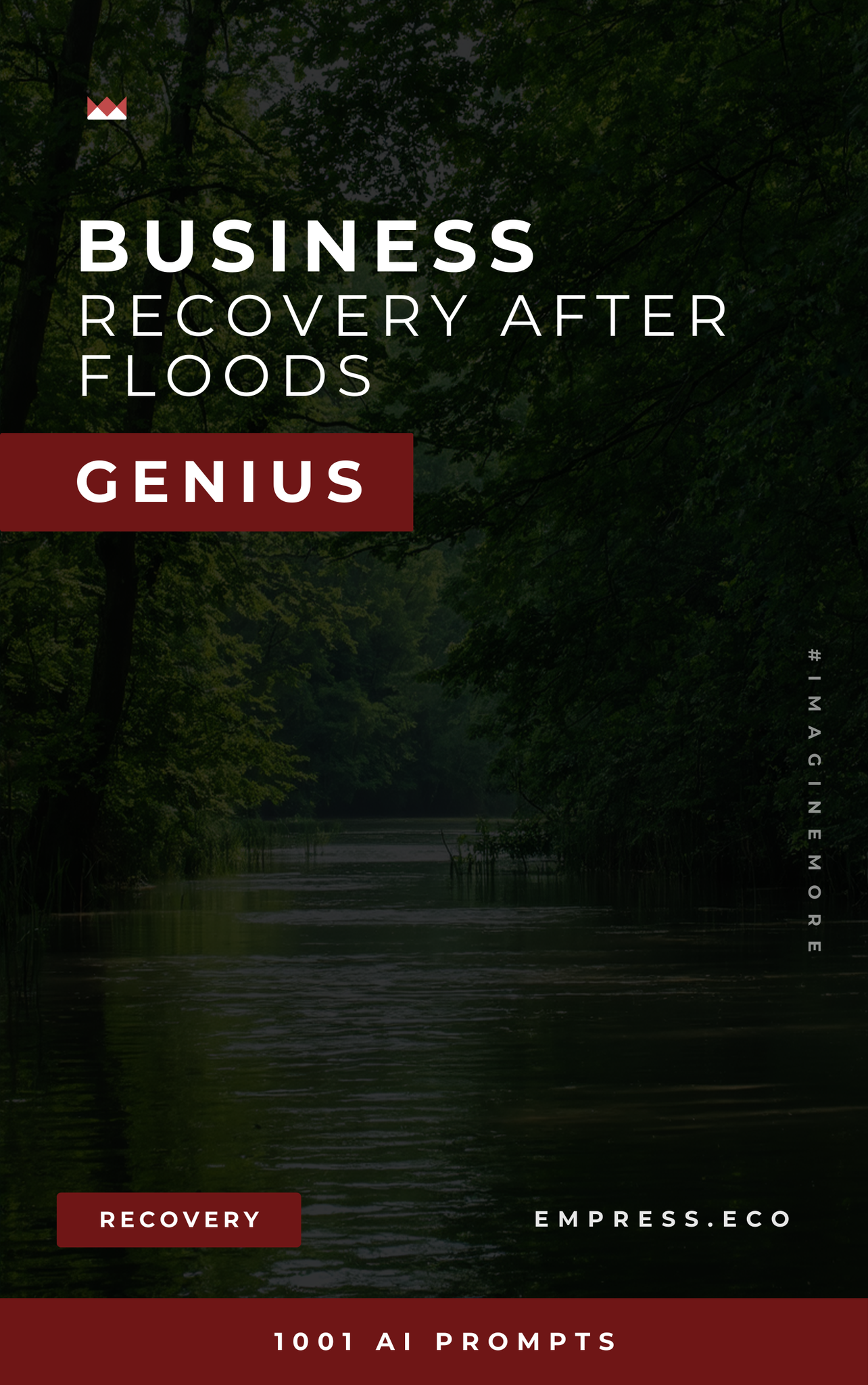 Business Recovery After Floods Genius