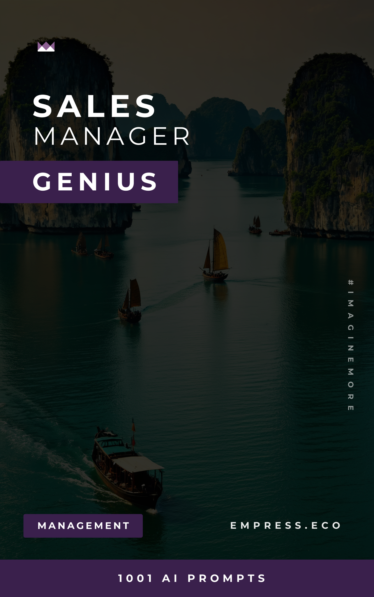 Sales Manager Genius