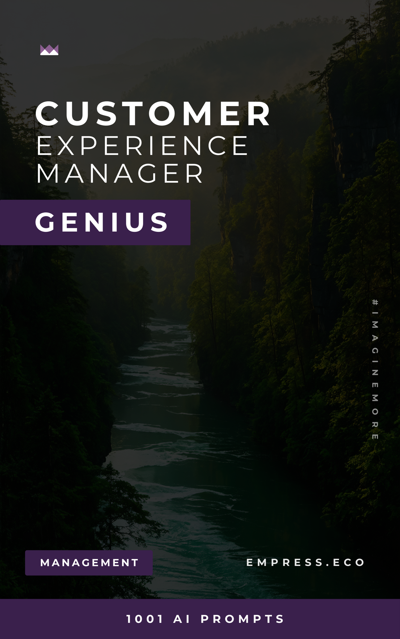Customer Experience Manager Genius