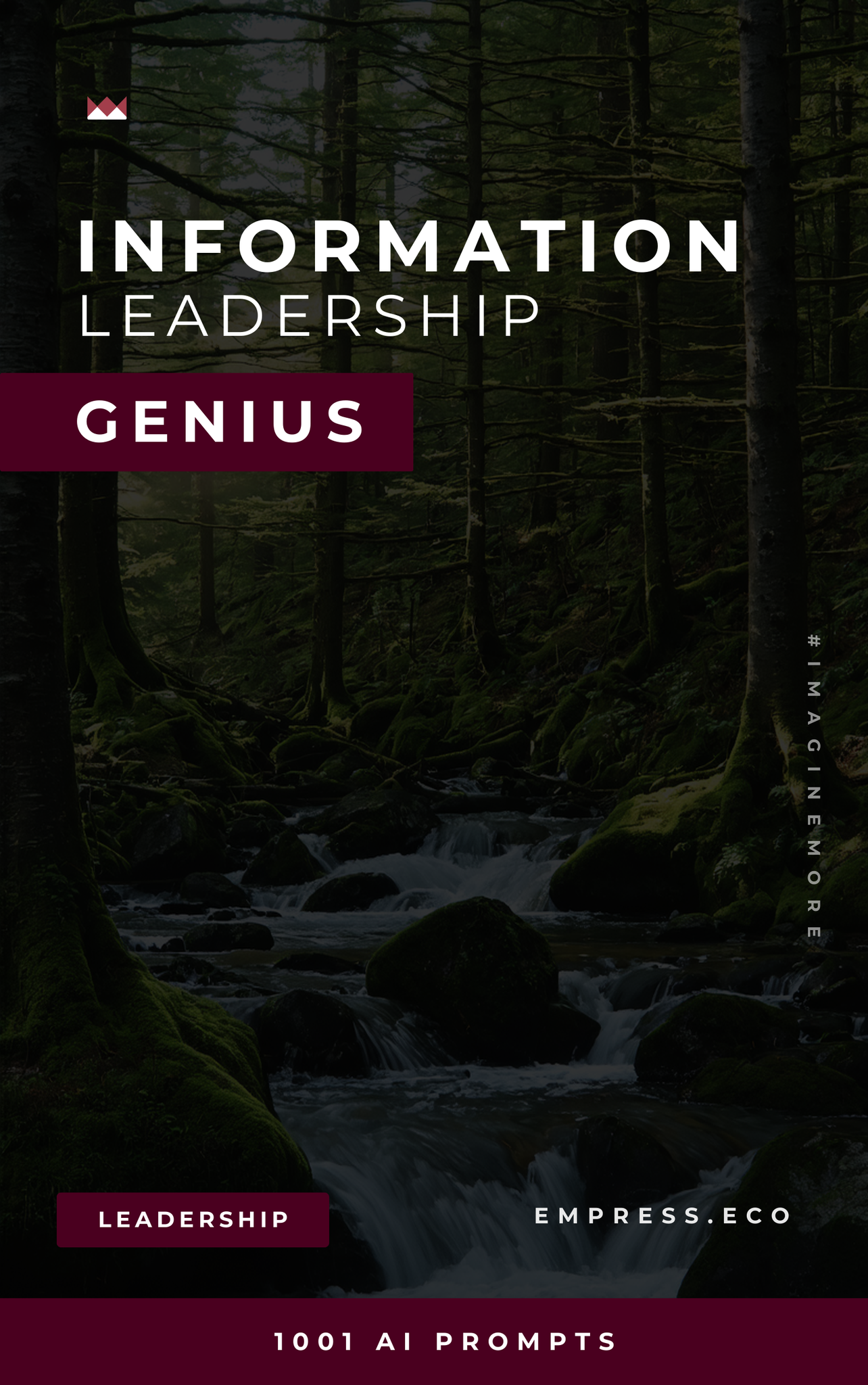 Information Leadership Genius