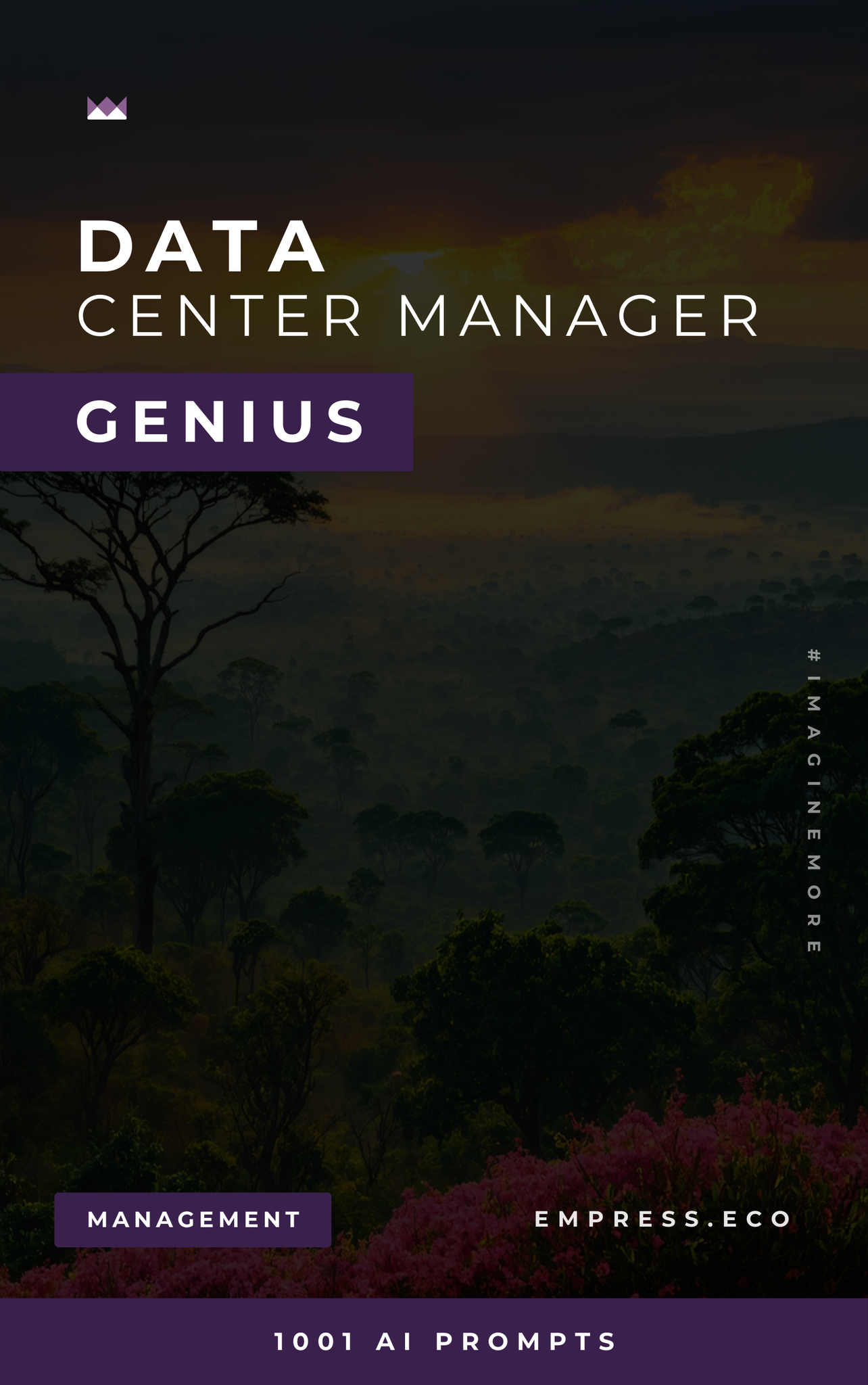 Data Center Manager Genius