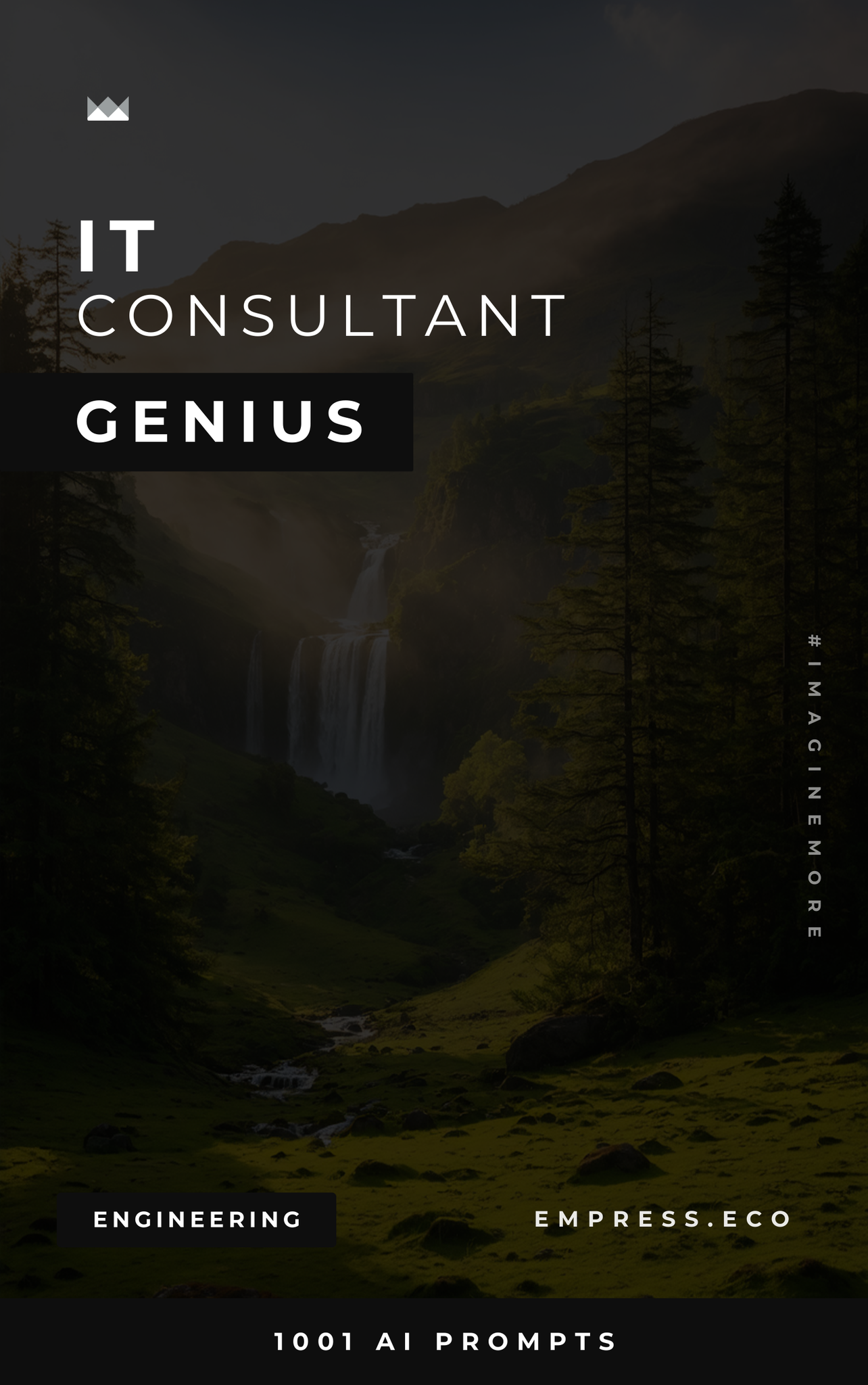 IT Consultant Genius