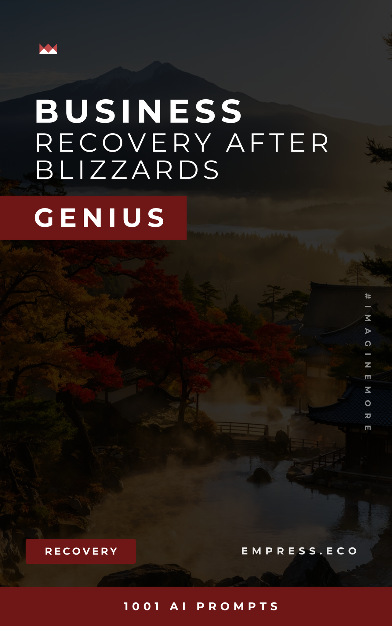 Business Recovery After Blizzards Genius